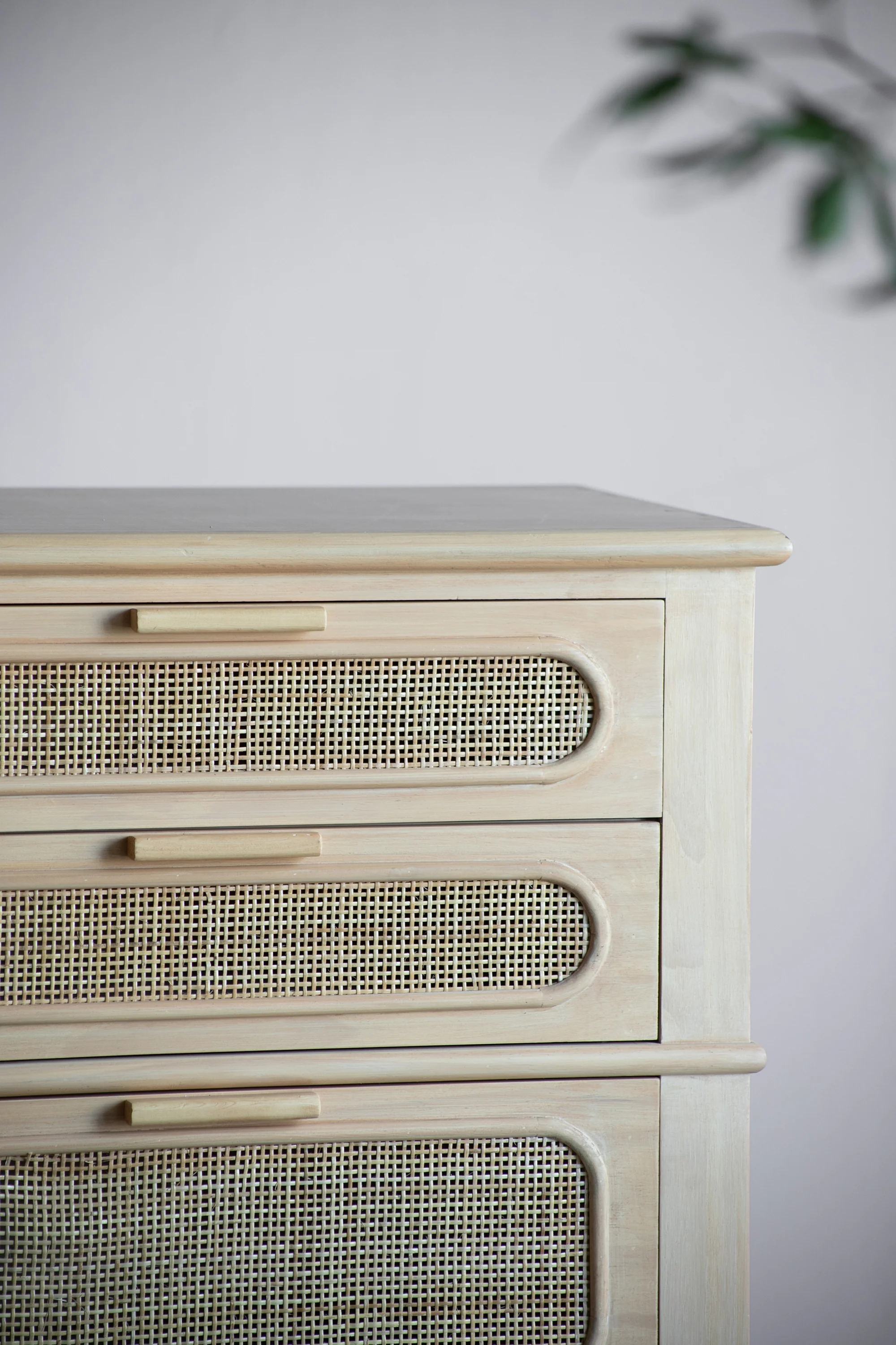 Stanislaw Tall Chest