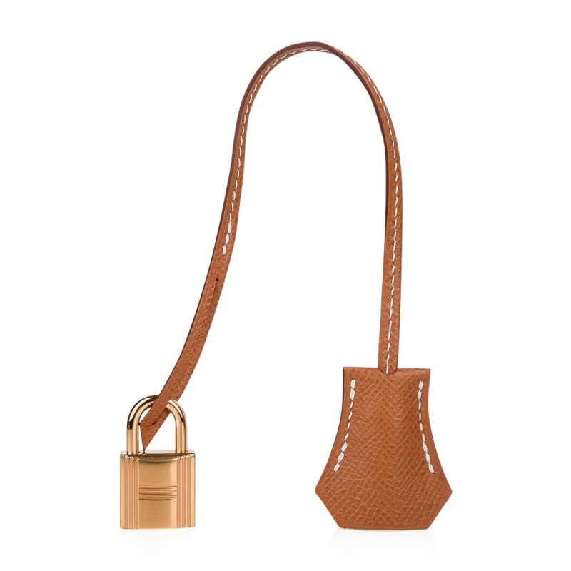 Hermes Birkin 30 Sellier Bag Gold Veau Graine Monsieur Laiton Limited Edition