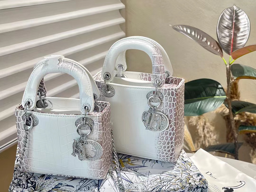Christian Dior | *Limited Edition* Lady Dior