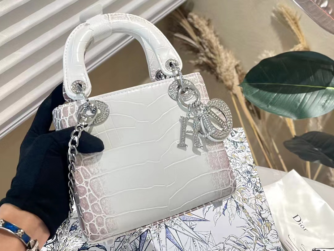 Christian Dior | *Limited Edition* Lady Dior
