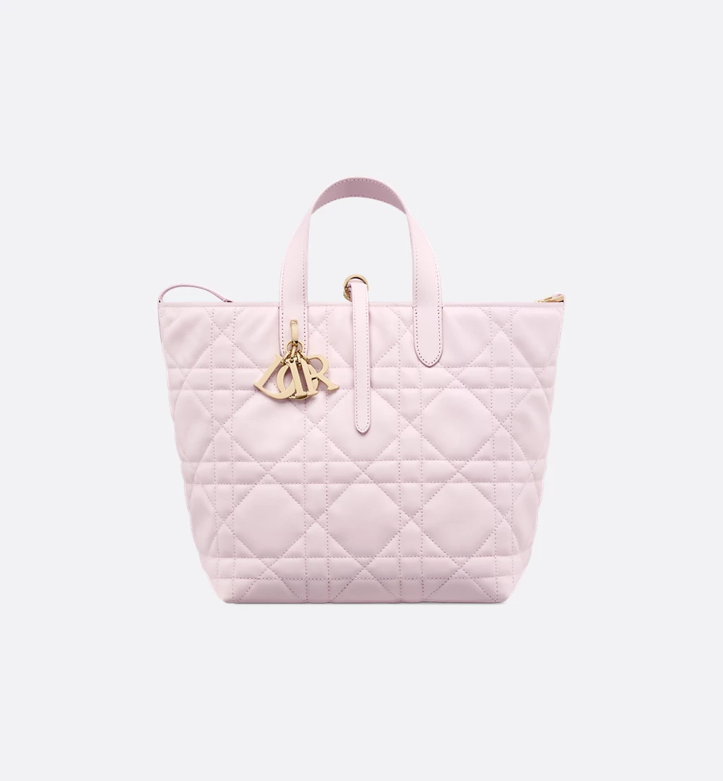 Medium Dior Toujours Vertical Tote Bag
