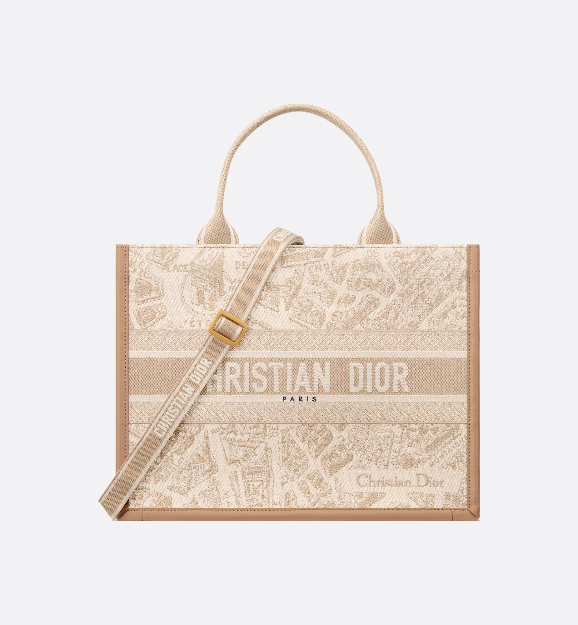 Dior Medium Book Tote Bag