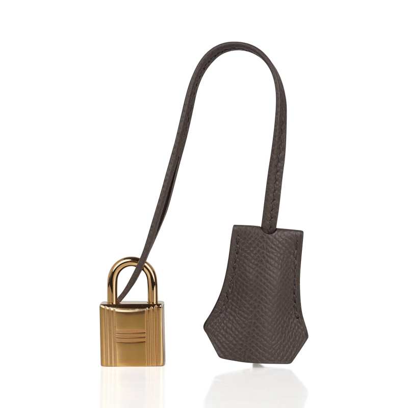 Kelly Sellier 25 Bag Etain Gold Hardware Epsom Leather New