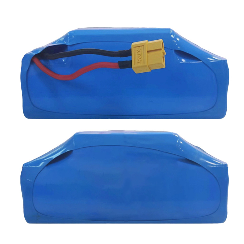 Electric Balance Scooter Battery 36v 42v Universal Twist Scooter Lithium Battery Pack Customizable