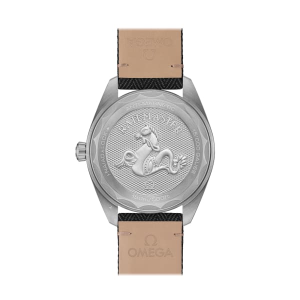 Omega Seamaster Ref. # 220.12.40.20.01.001