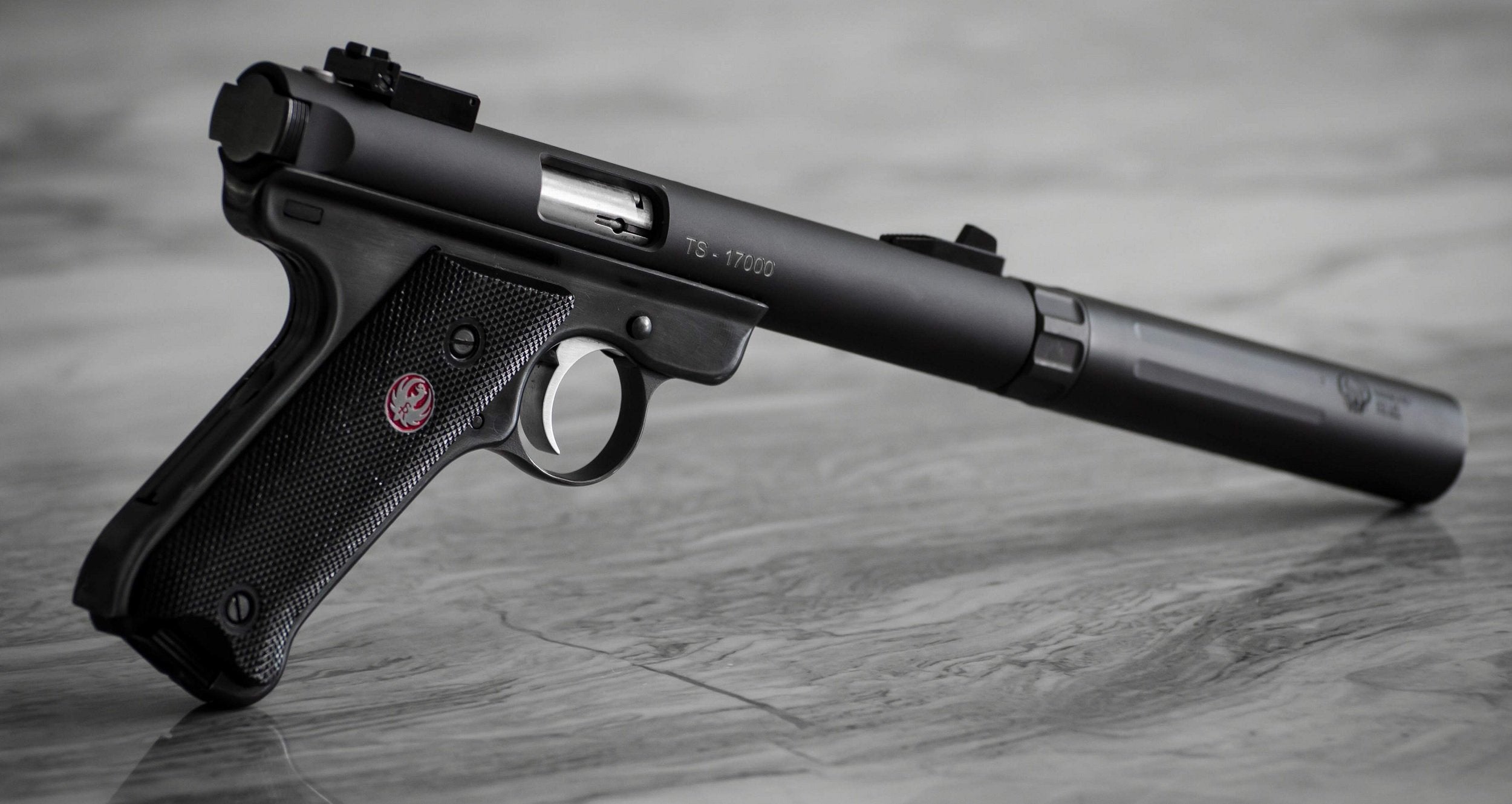 The Perfect Tactical Rimfire Trainer-Ruger 22LR 5