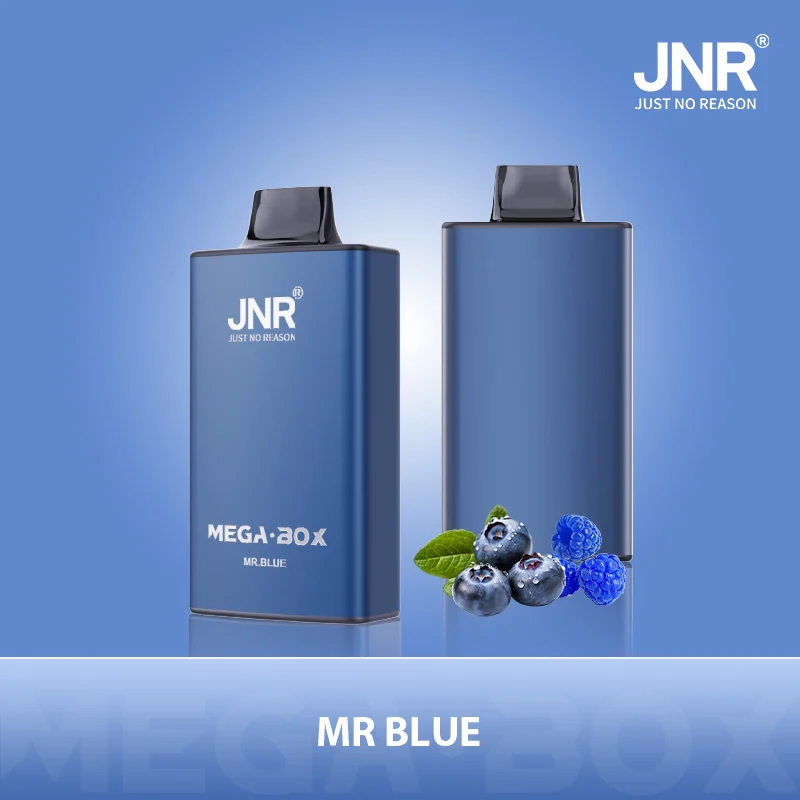 Mega Box 25000 Puffs Disposable Vape