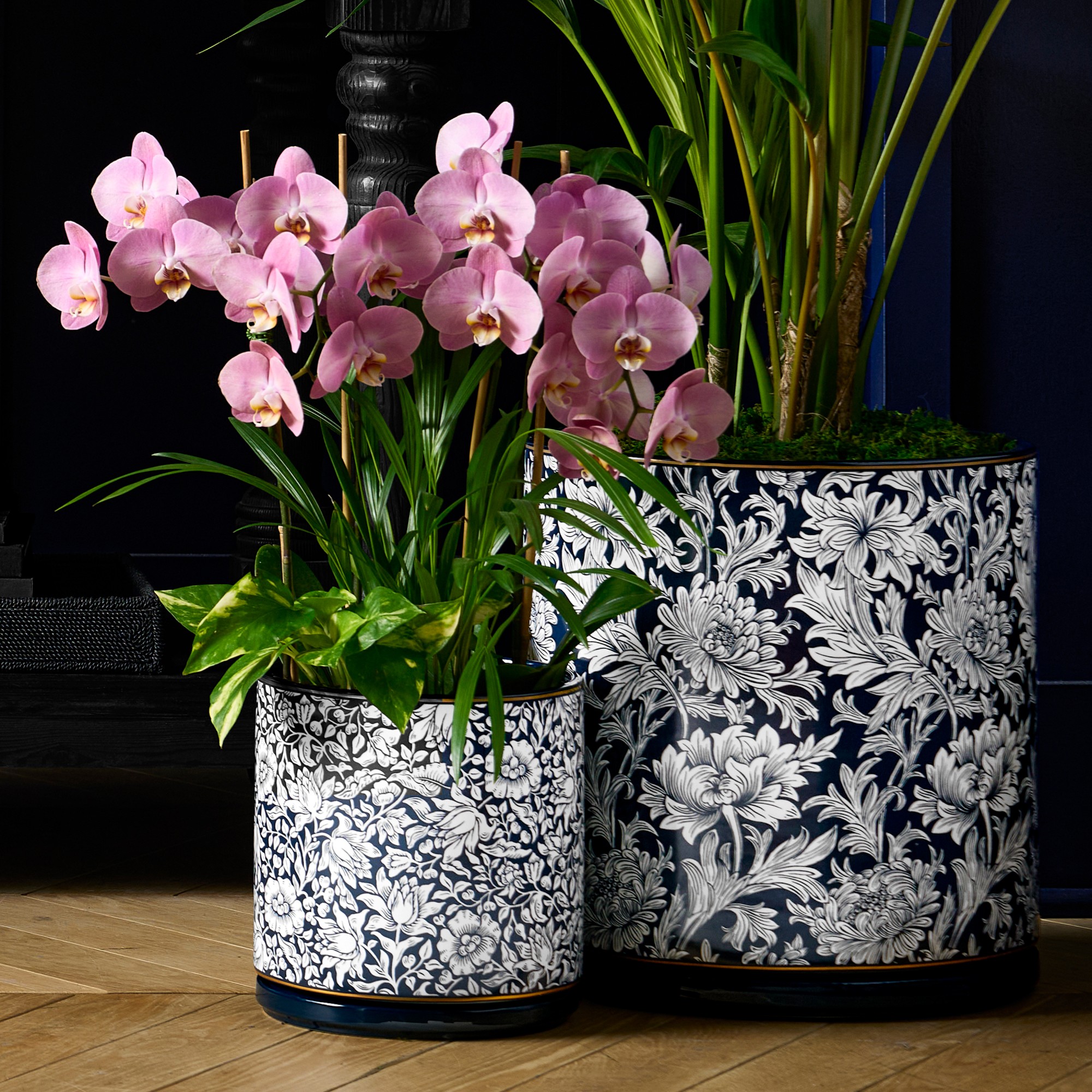 Morris & Co. x Williams Sonoma Ceramic Planter Collection