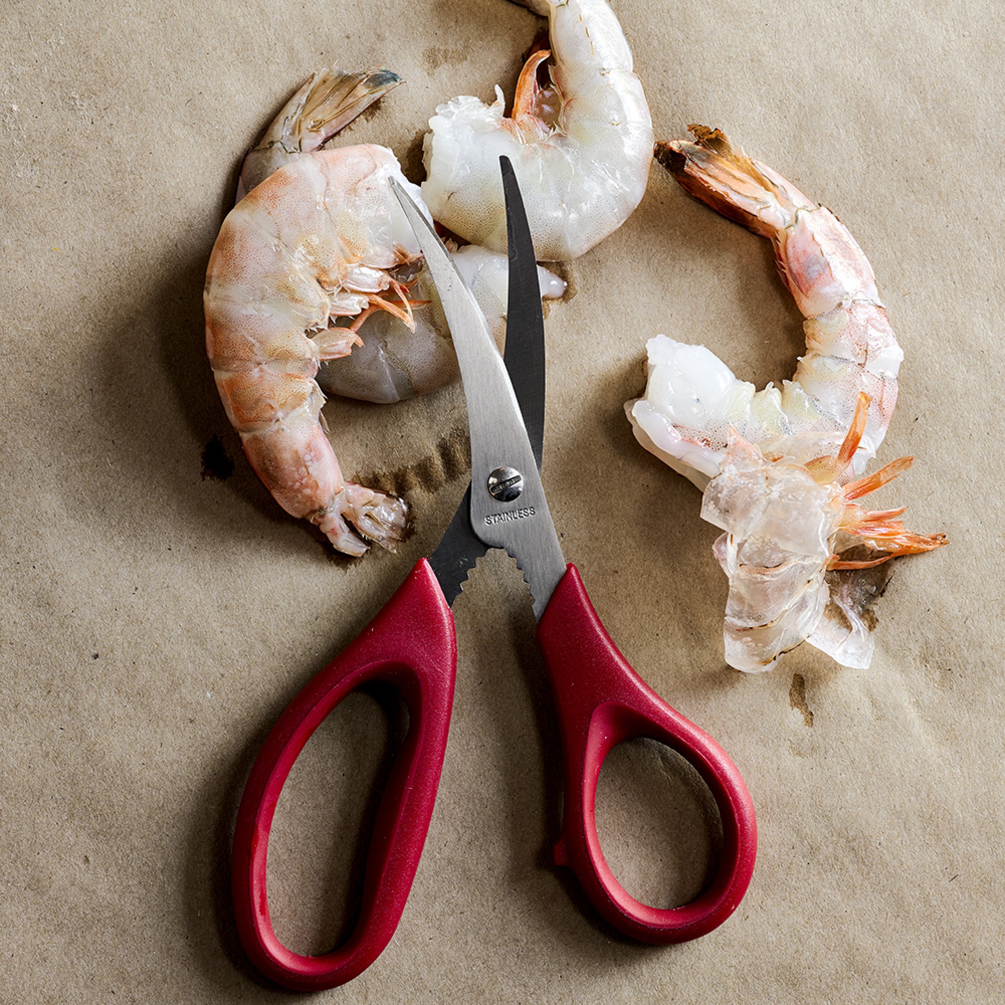 Williams Sonoma Seafood Scissors