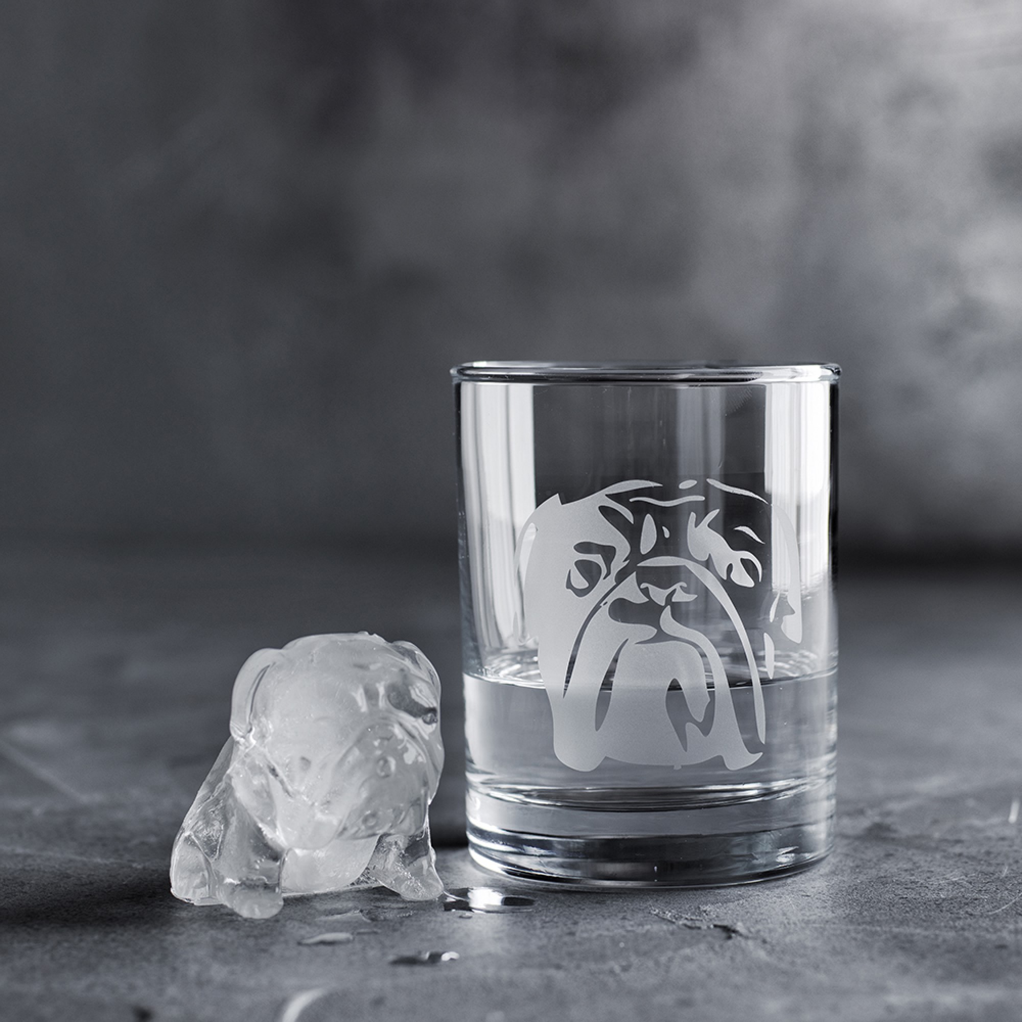 Williams Sonoma Bulldog Etched Glass & Ice Mold Set