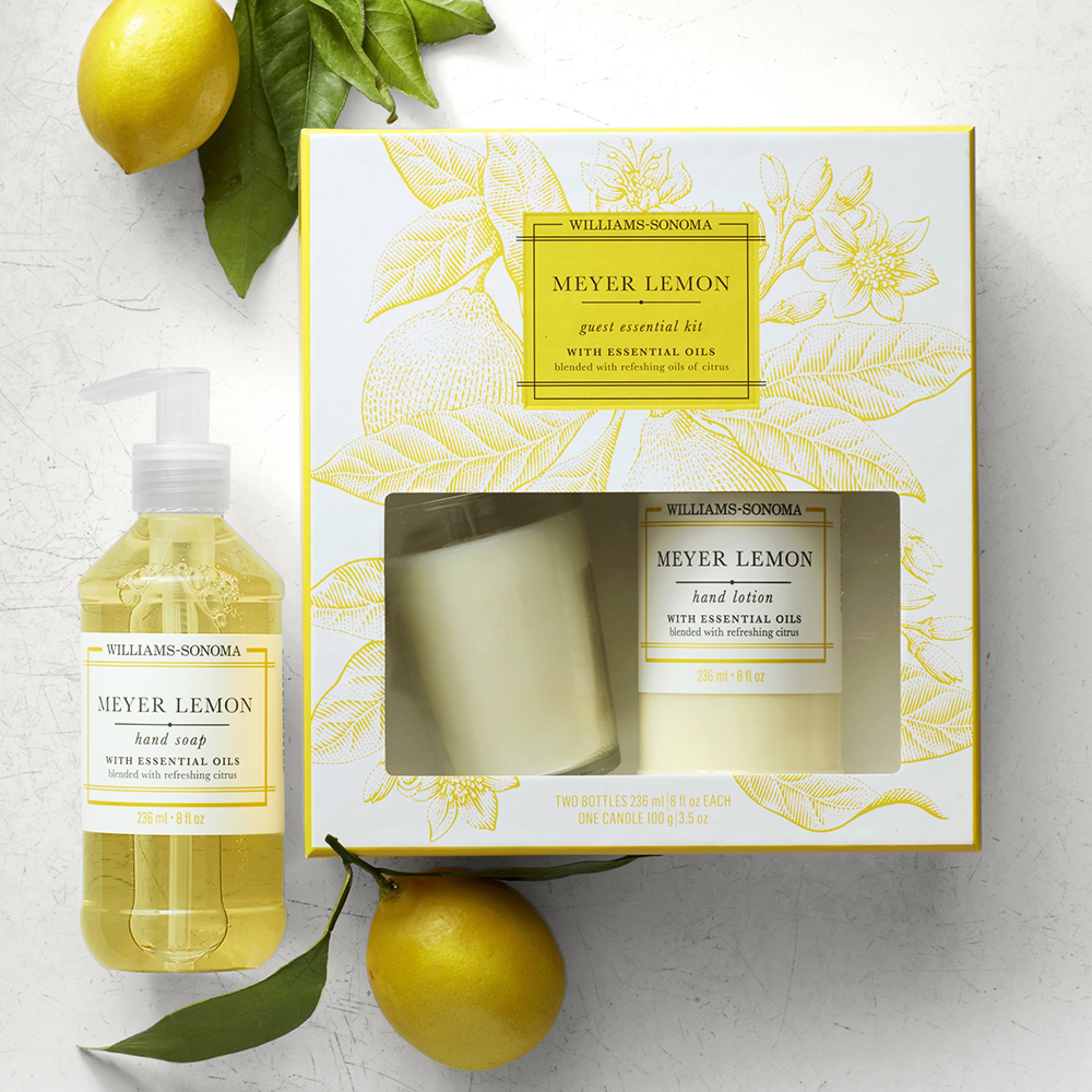 Williams Sonoma Meyer Lemon Guest Set