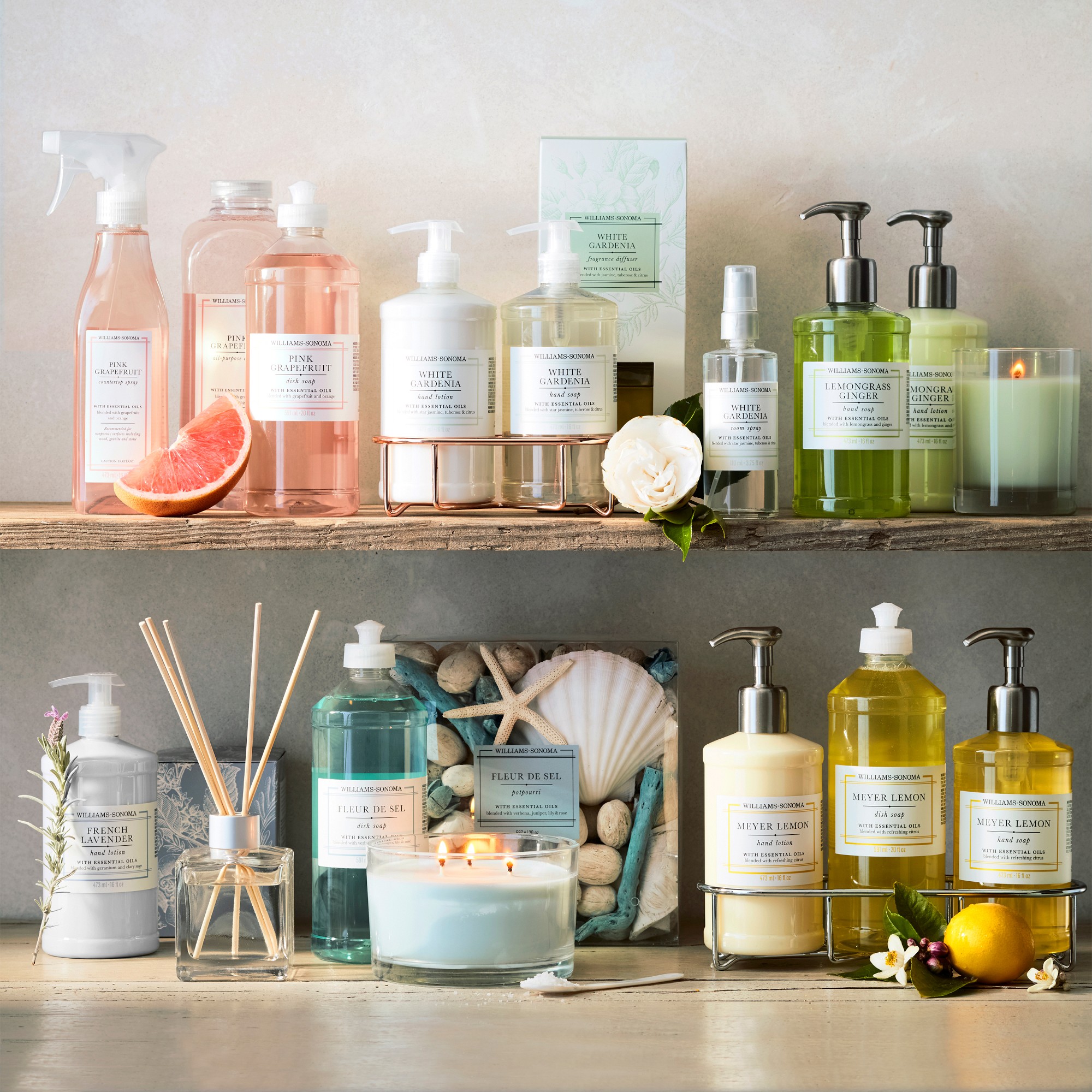 Williams Sonoma French Lavender Hand Lotion