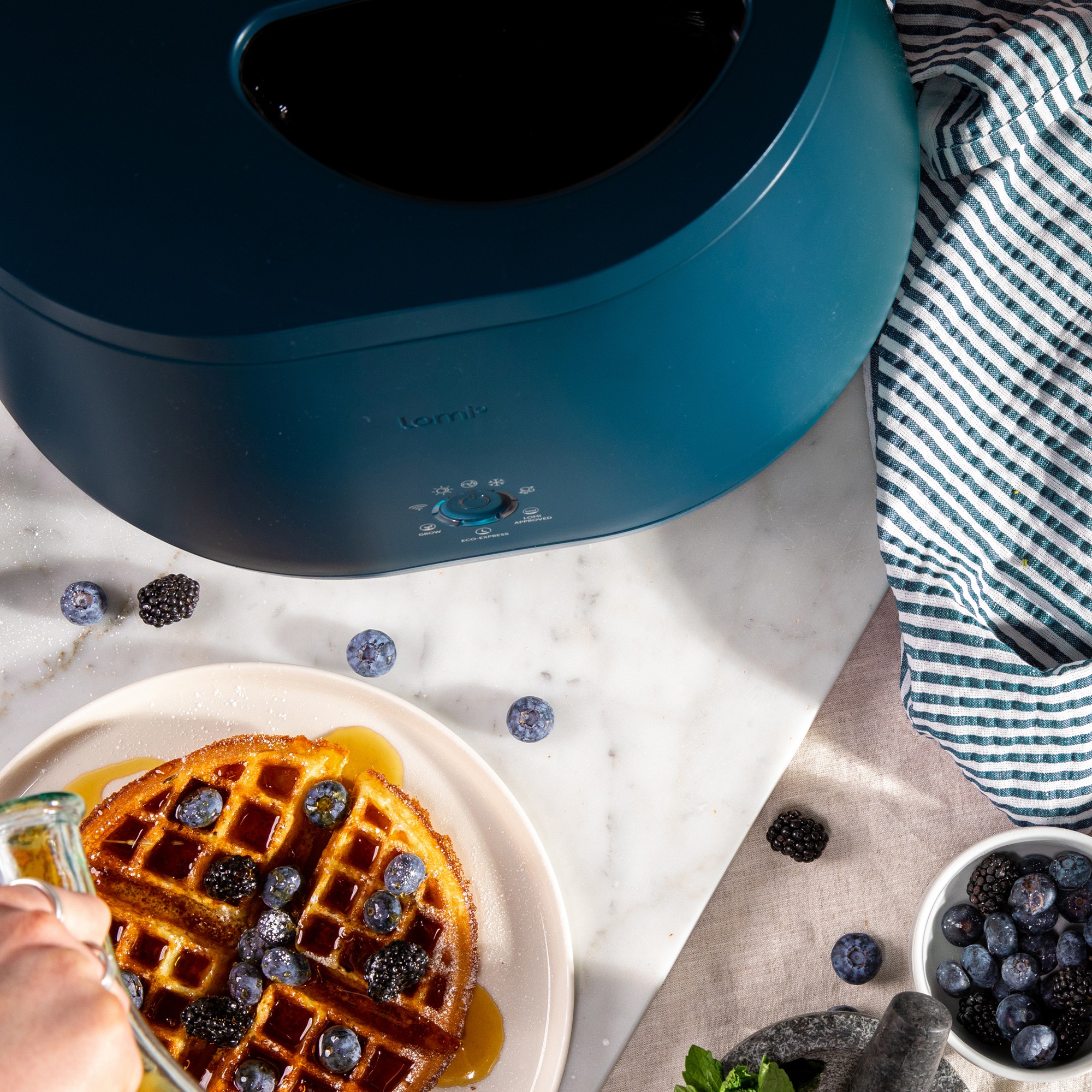 Lomi Bloom Food Waste Recycler