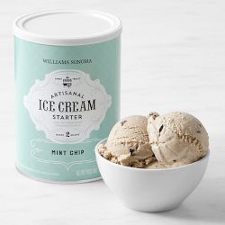 Williams Sonoma Vanilla & Mint Chip Ice Cream Starter Set