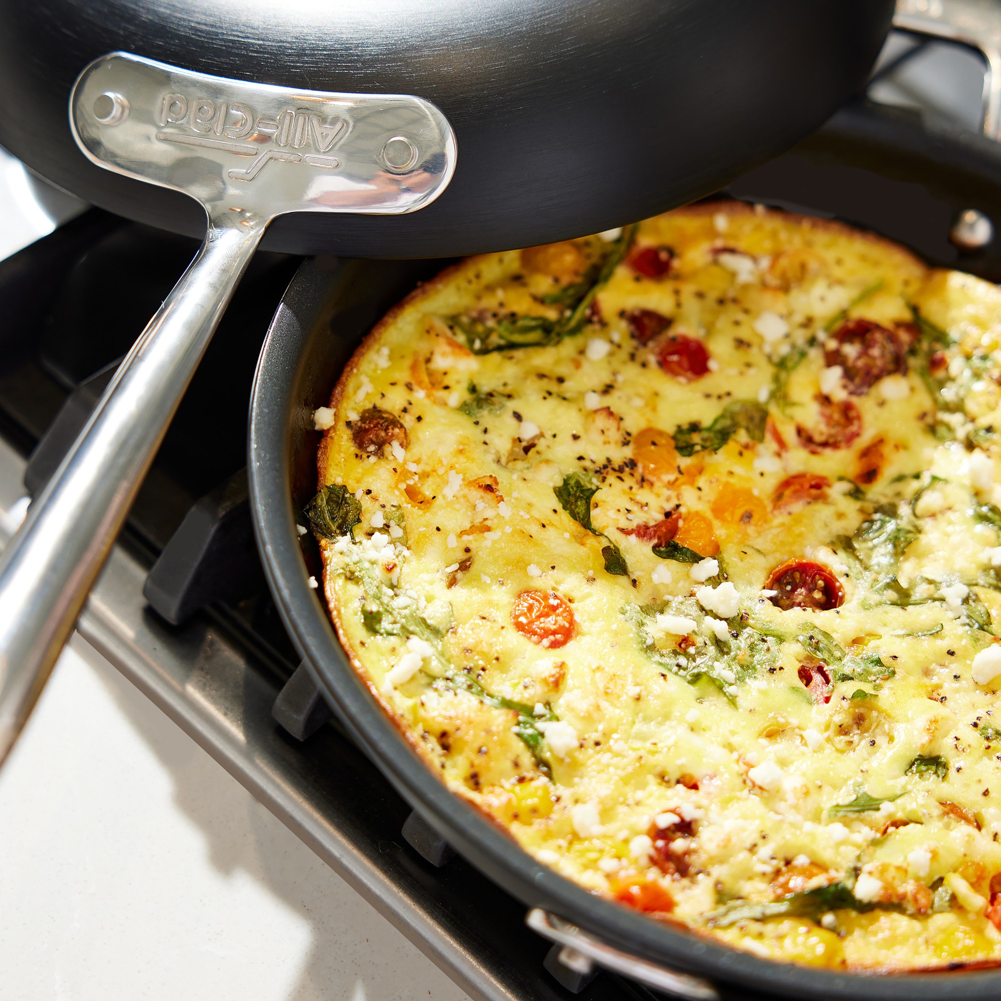 All-Clad NS™ Pro Nonstick Frittata Pan, 10