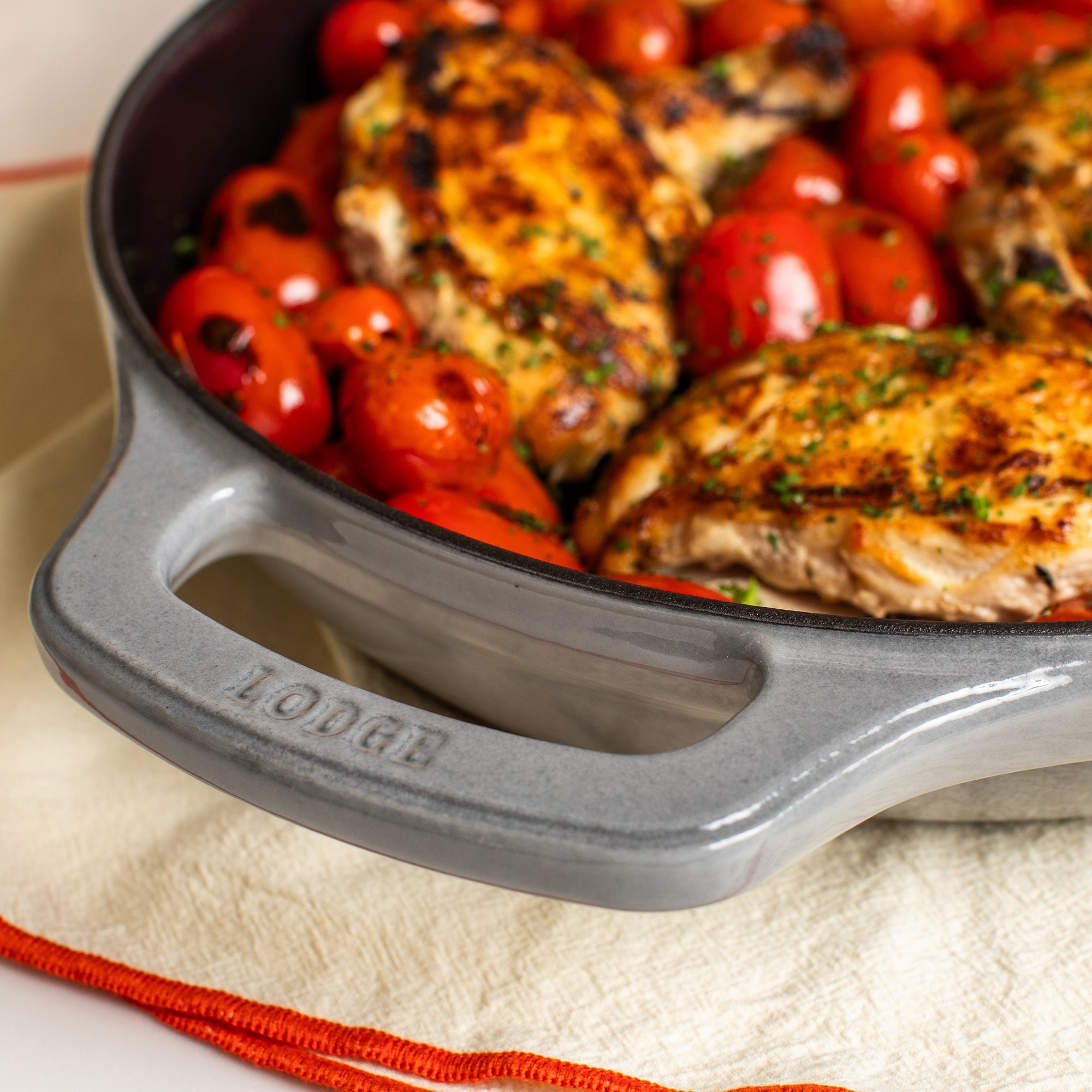 Lodge USA Enameled Cast Iron Skillet, 11