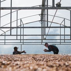 ONYX Coffee Southern Weather Blend Coffee Beans