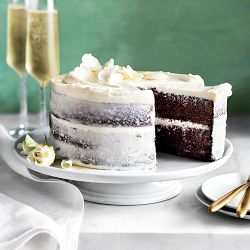 Williams Sonoma Rich Dark Chocolate Cake Mix