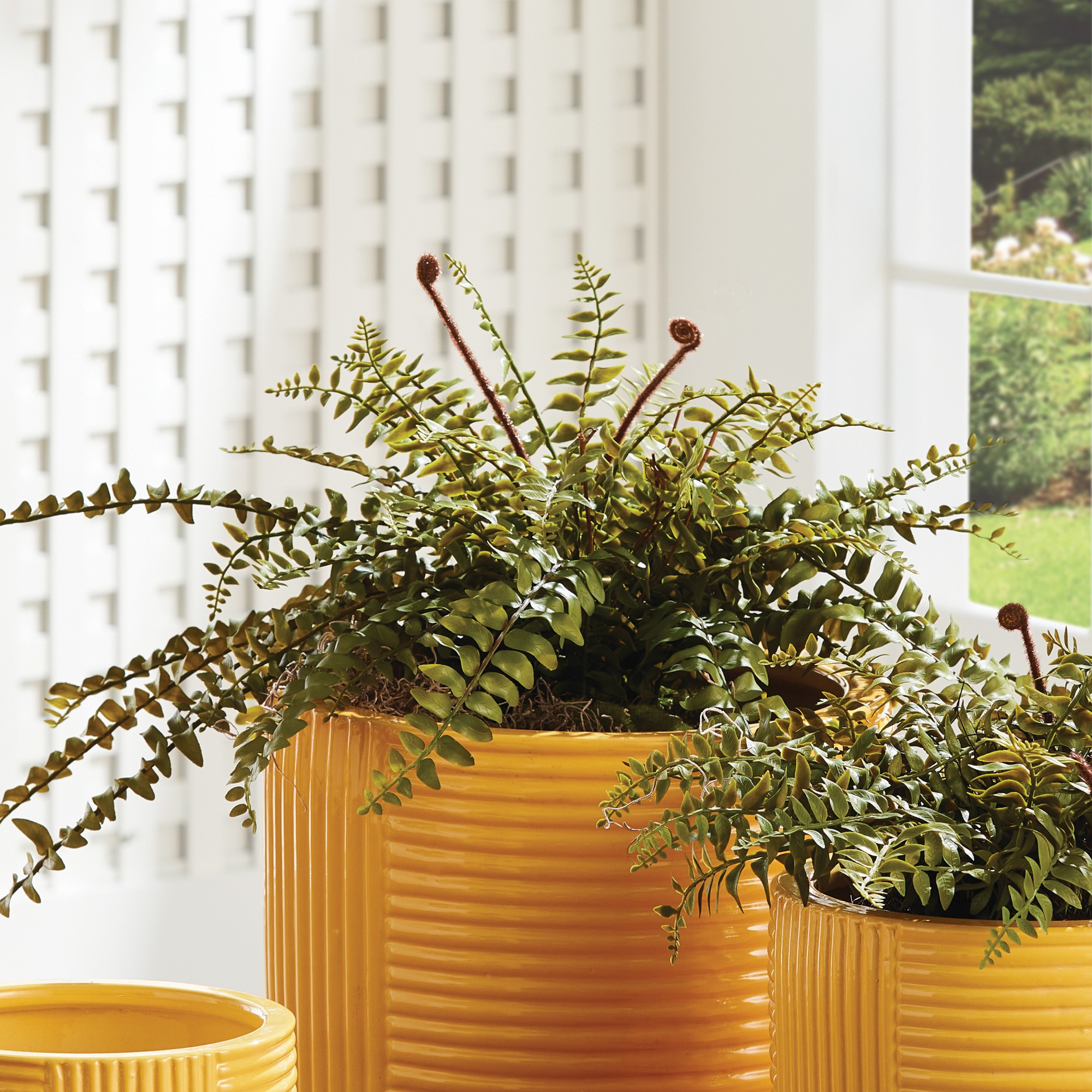 Faux Boston Fern Drop-In, 12