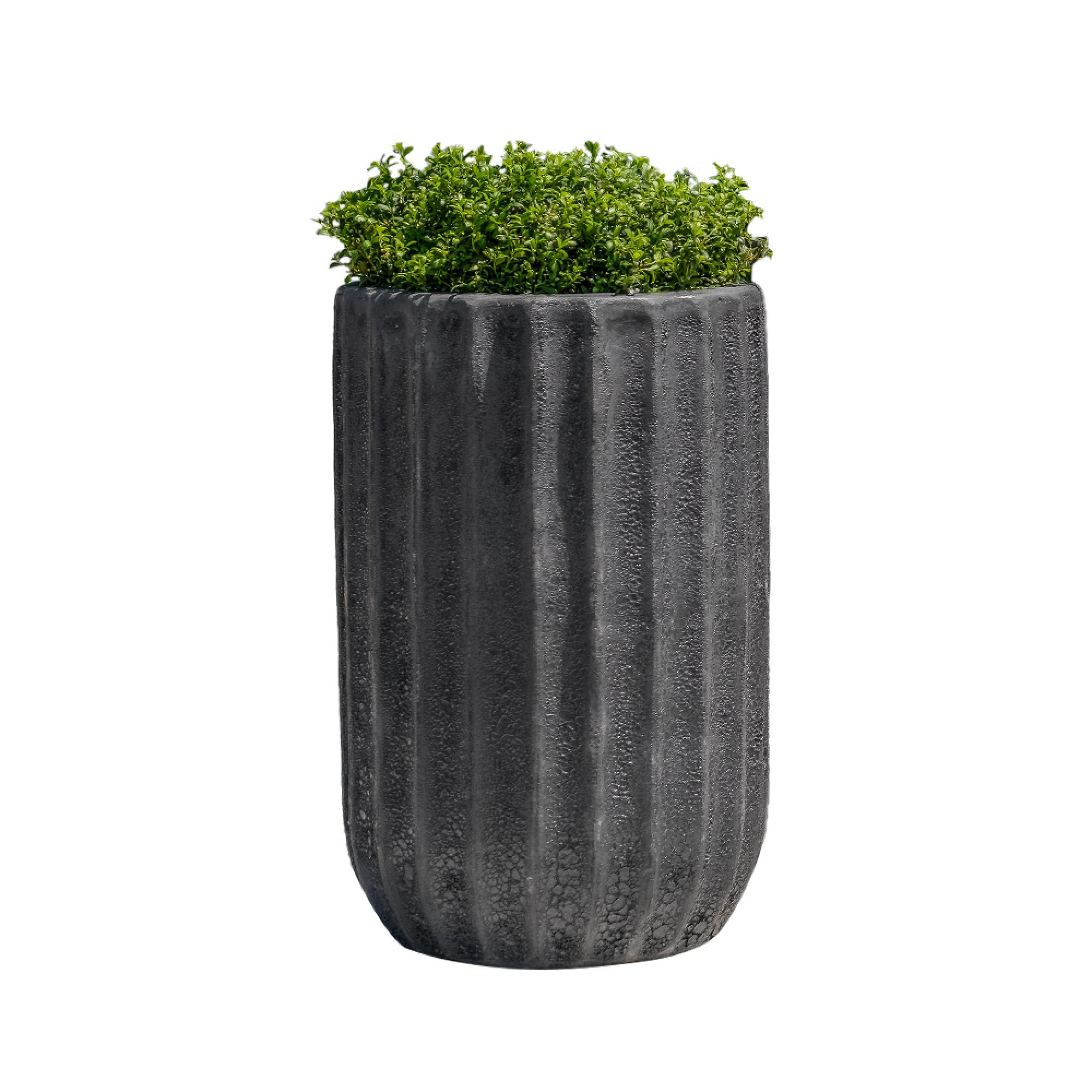 Maris Planter