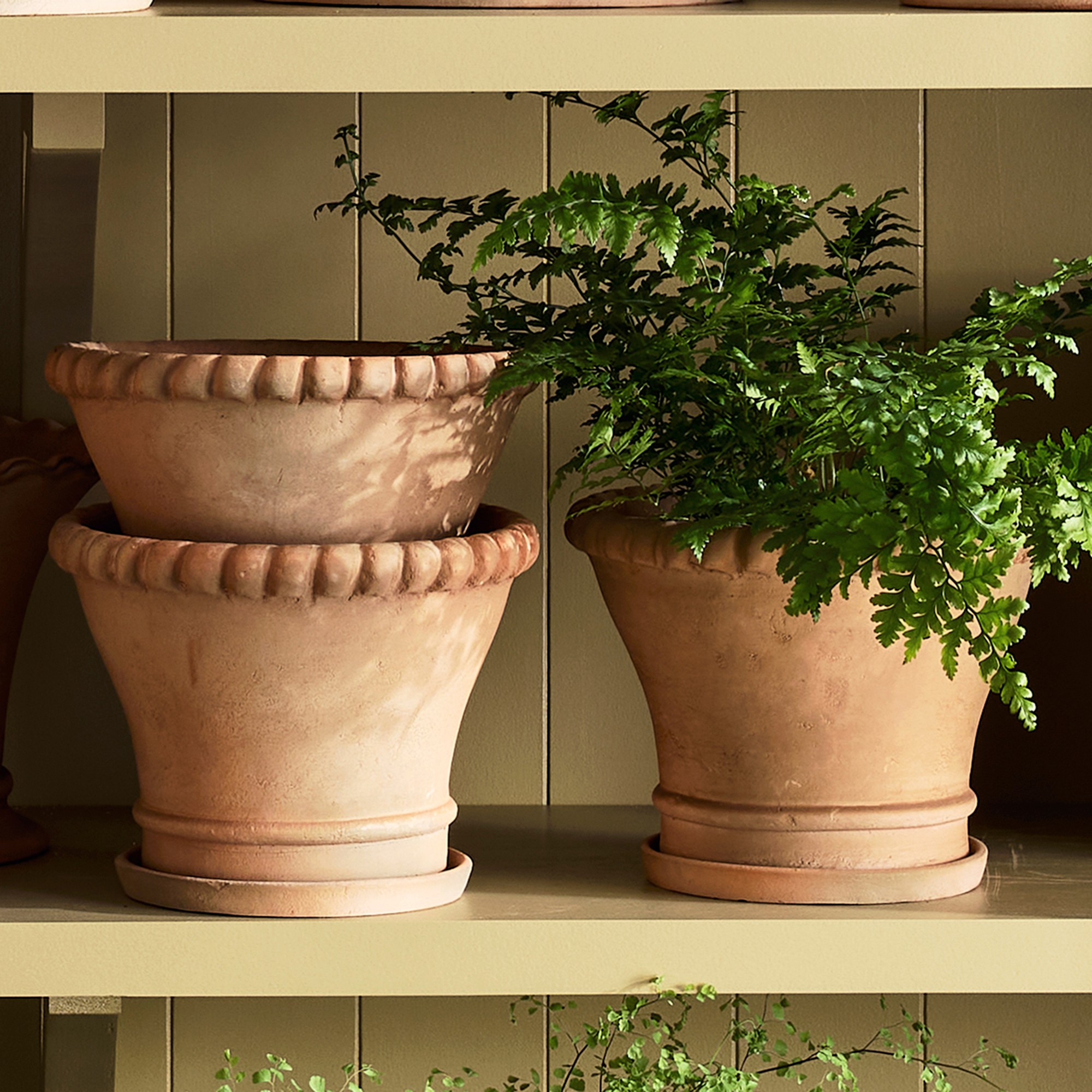 Williams Sonoma Terracotta Rope Planter
