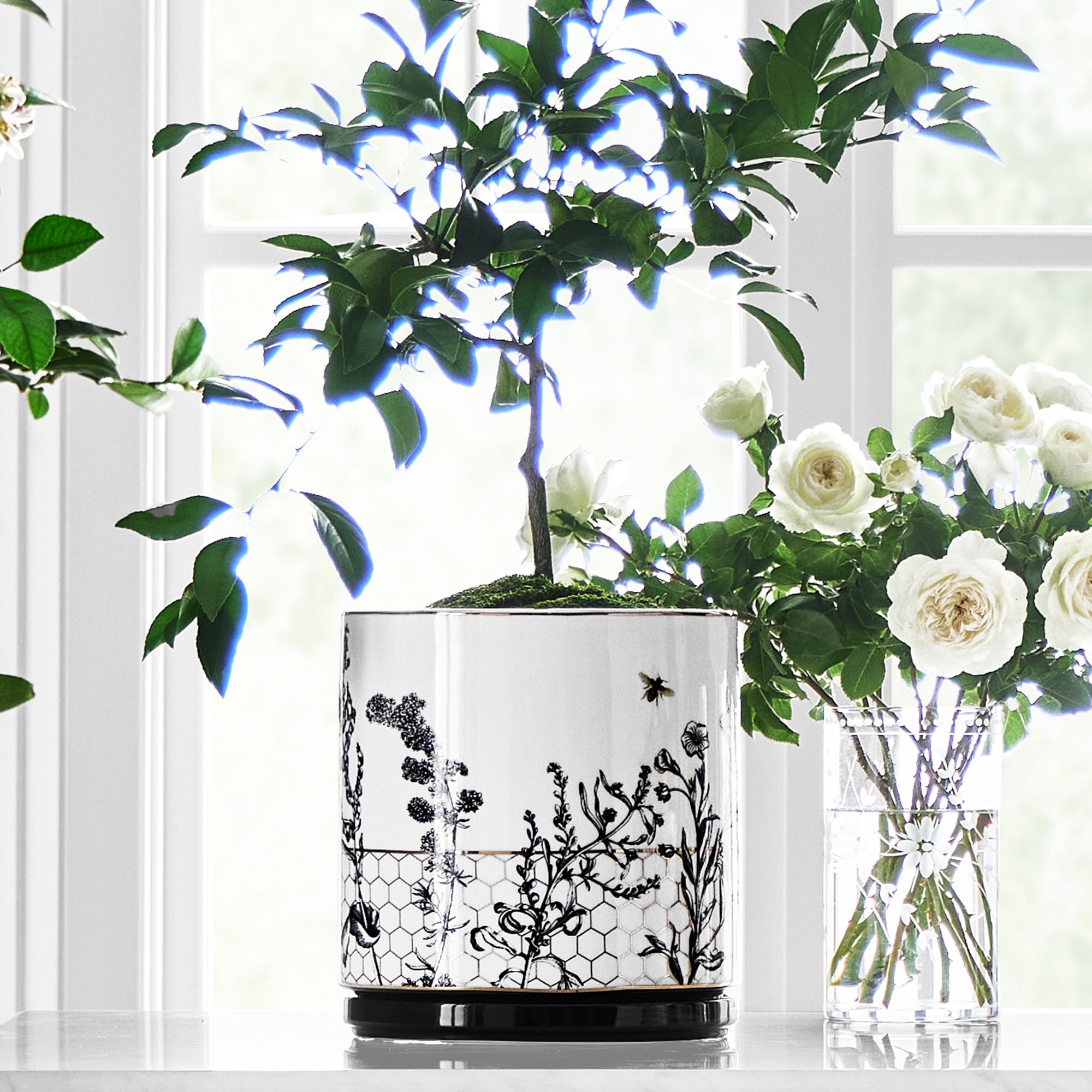 Honeycomb Ceramic Planter Collection