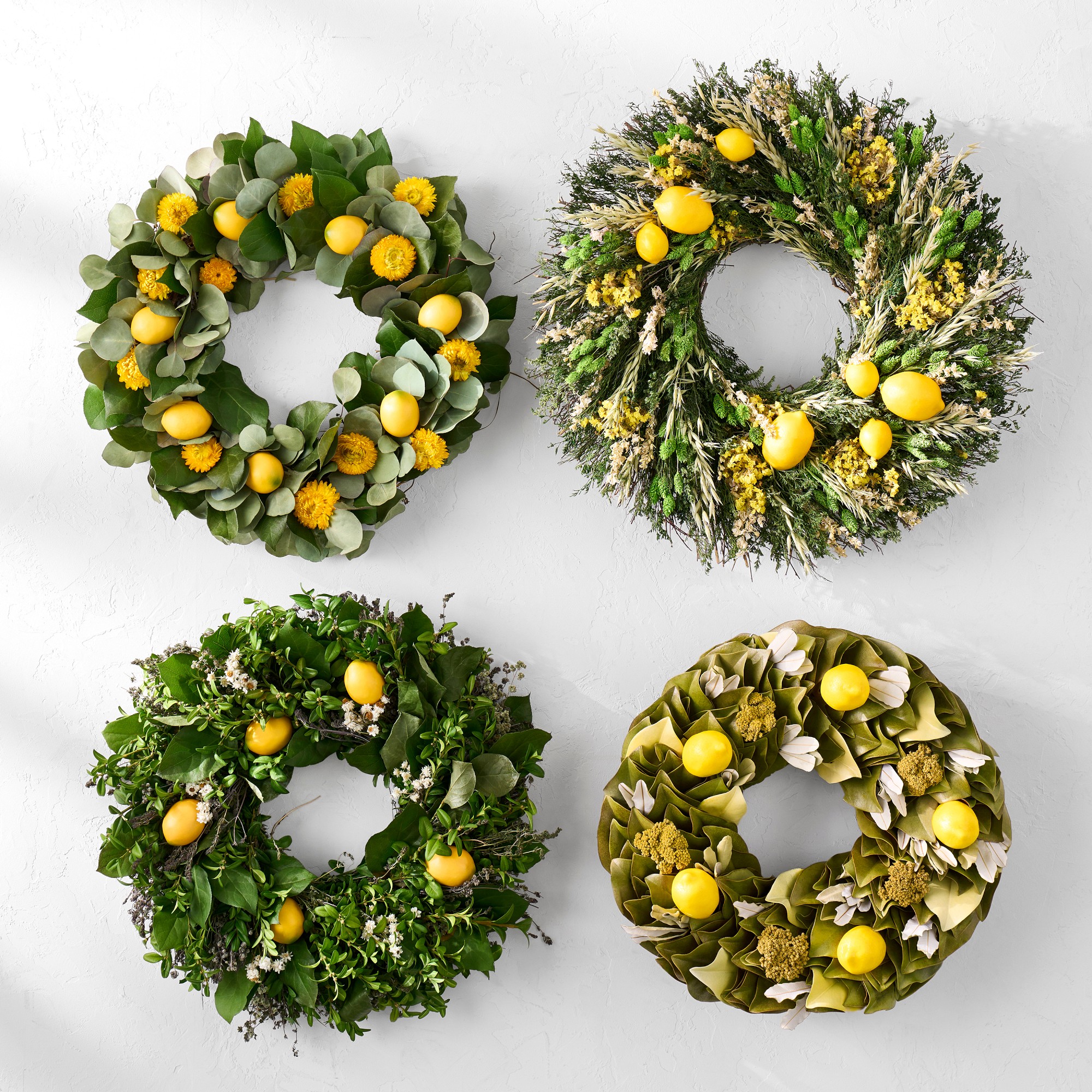 Lemon & Eucalyptus Live Wreath, 20