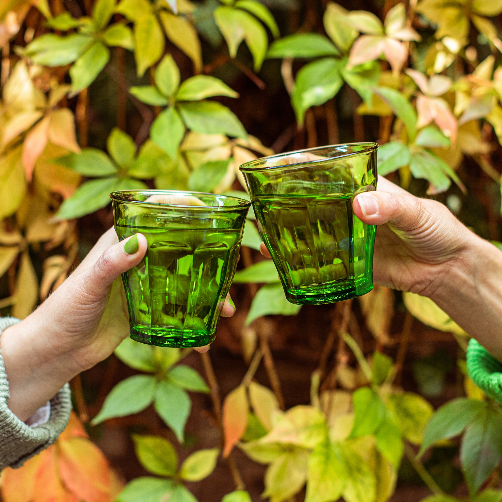 Duralex Picardie Glass Tumblers, 8 oz., Set of 6