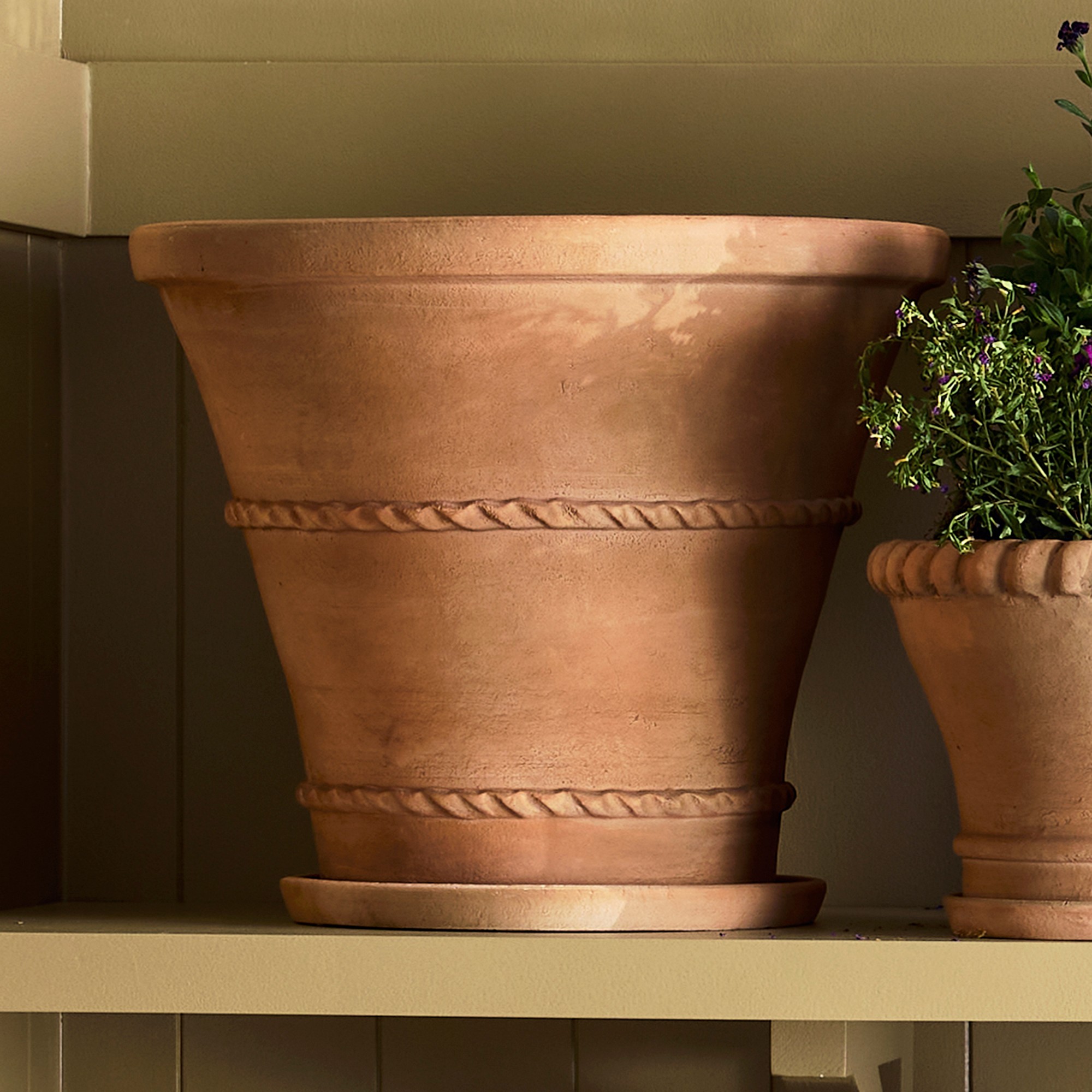 Williams Sonoma Terracotta Rope Planter
