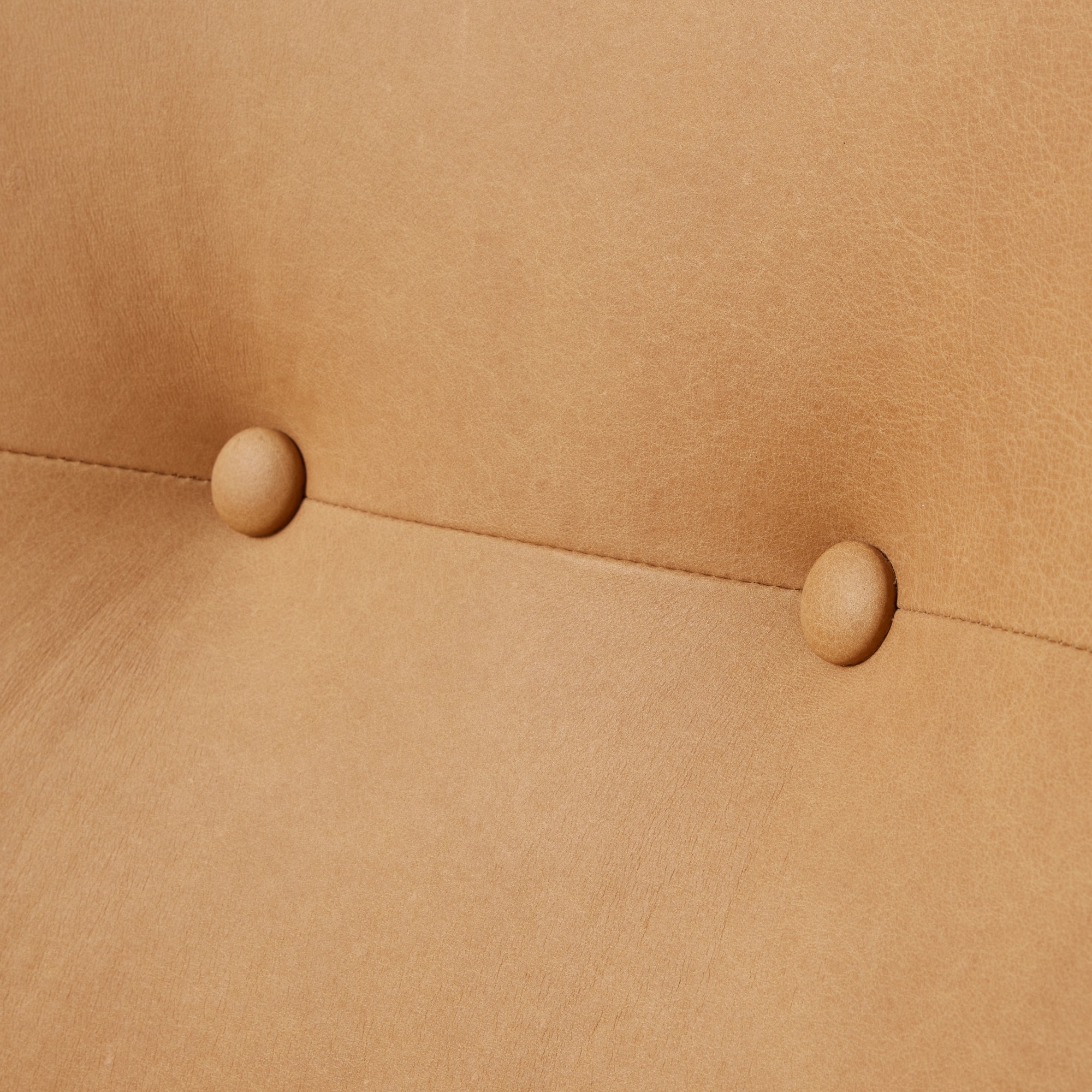 Giana Wing Back Occasional Chair