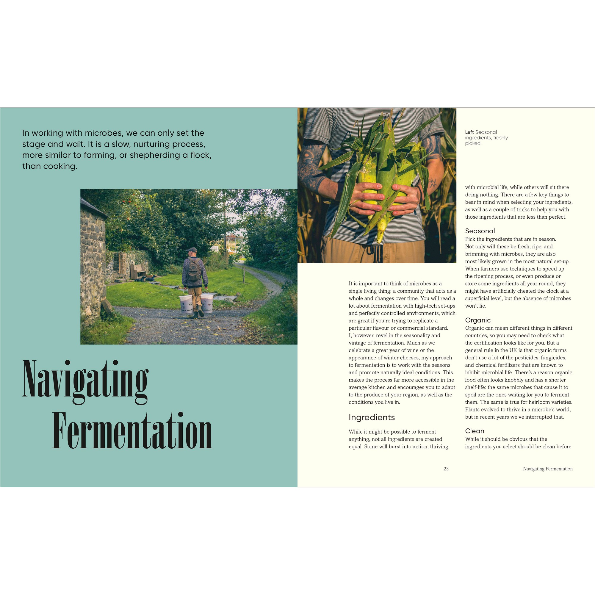 Sam Cooper: The Fermenter's Companion: Recipes, Techniques, and Science for Everyday Preserving