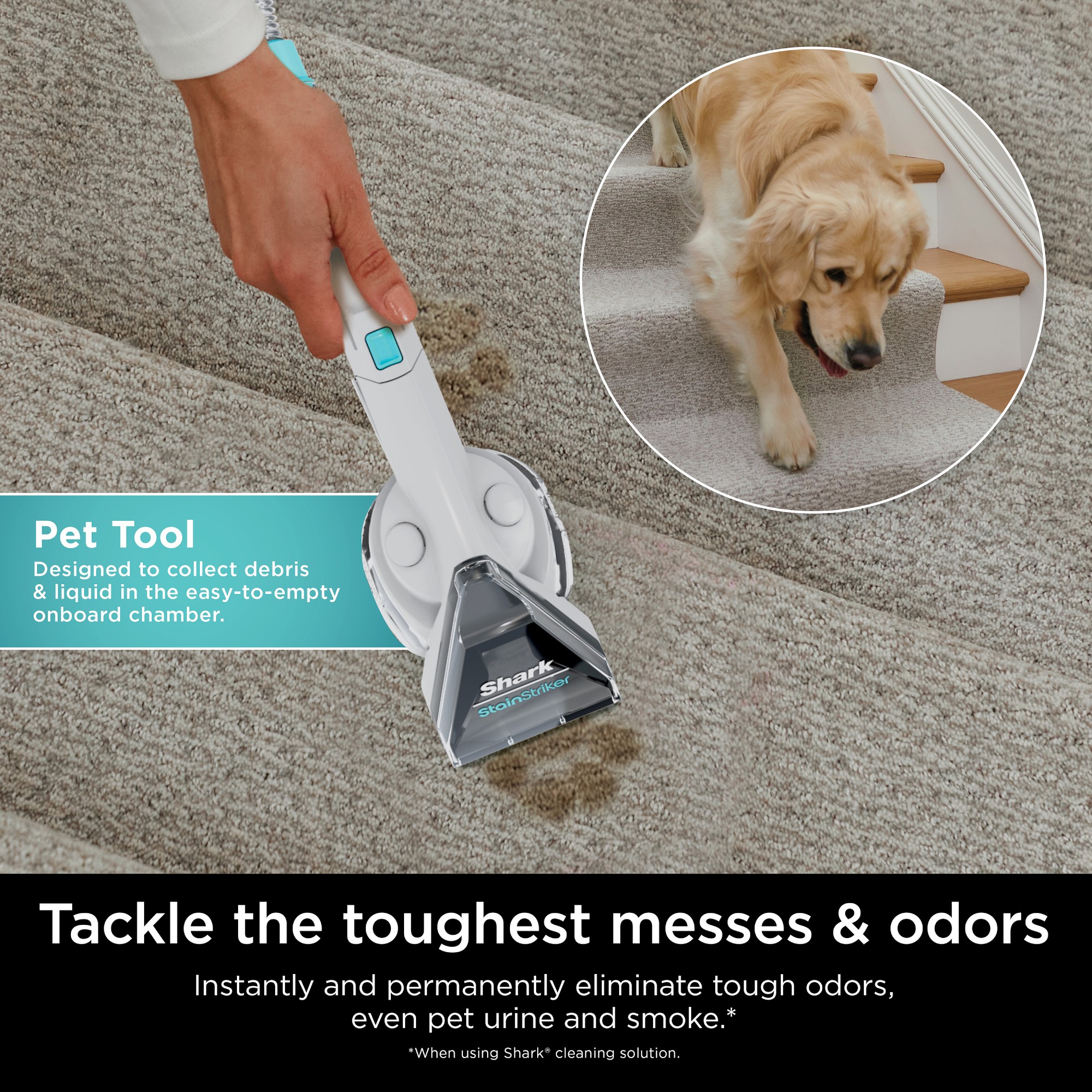 Shark® StainStriker™ Portable Carpet & Upholstery Cleaner
