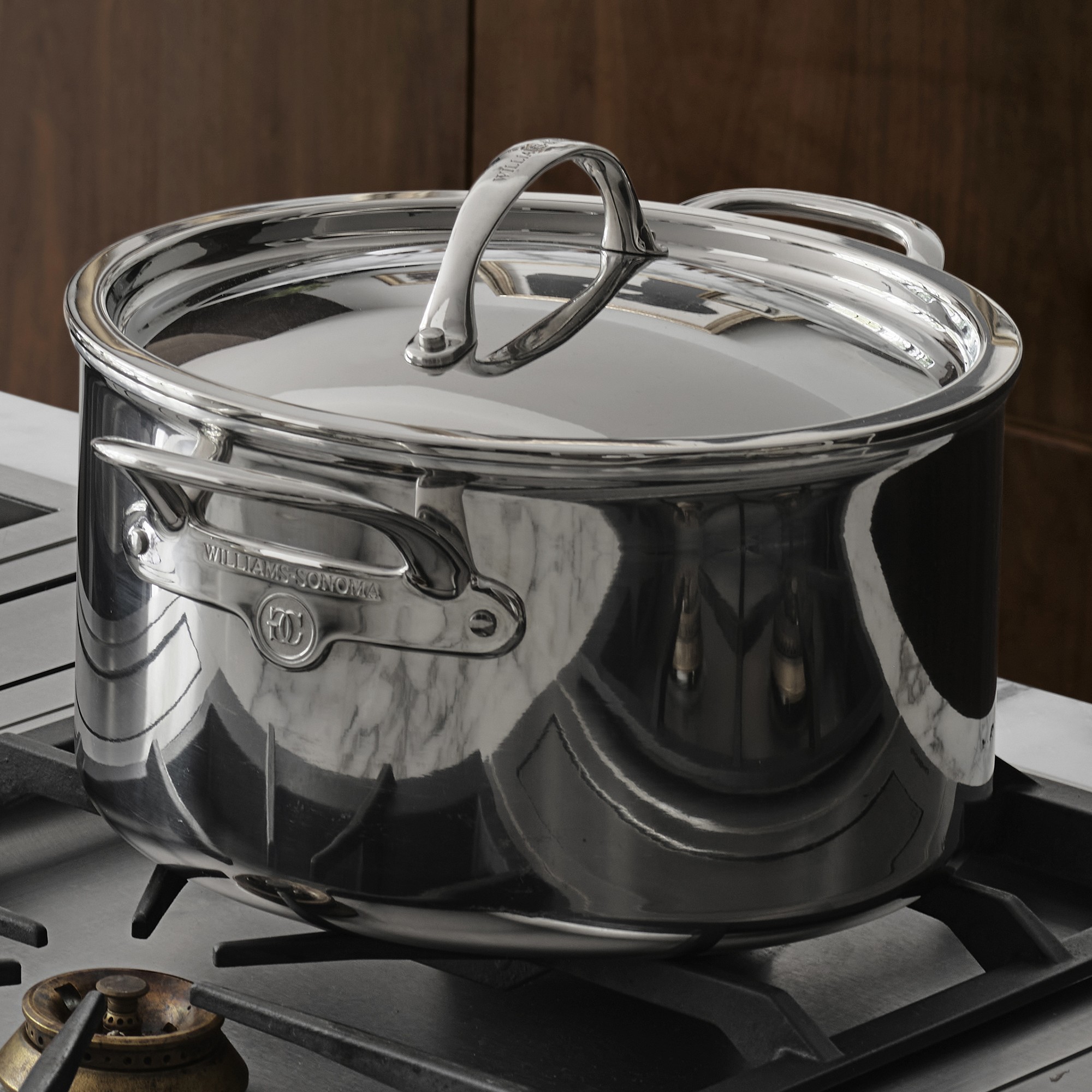 Williams Sonoma Signature Thermo-Clad™ Stainless-Steel Stock Pot, 8-Qt.