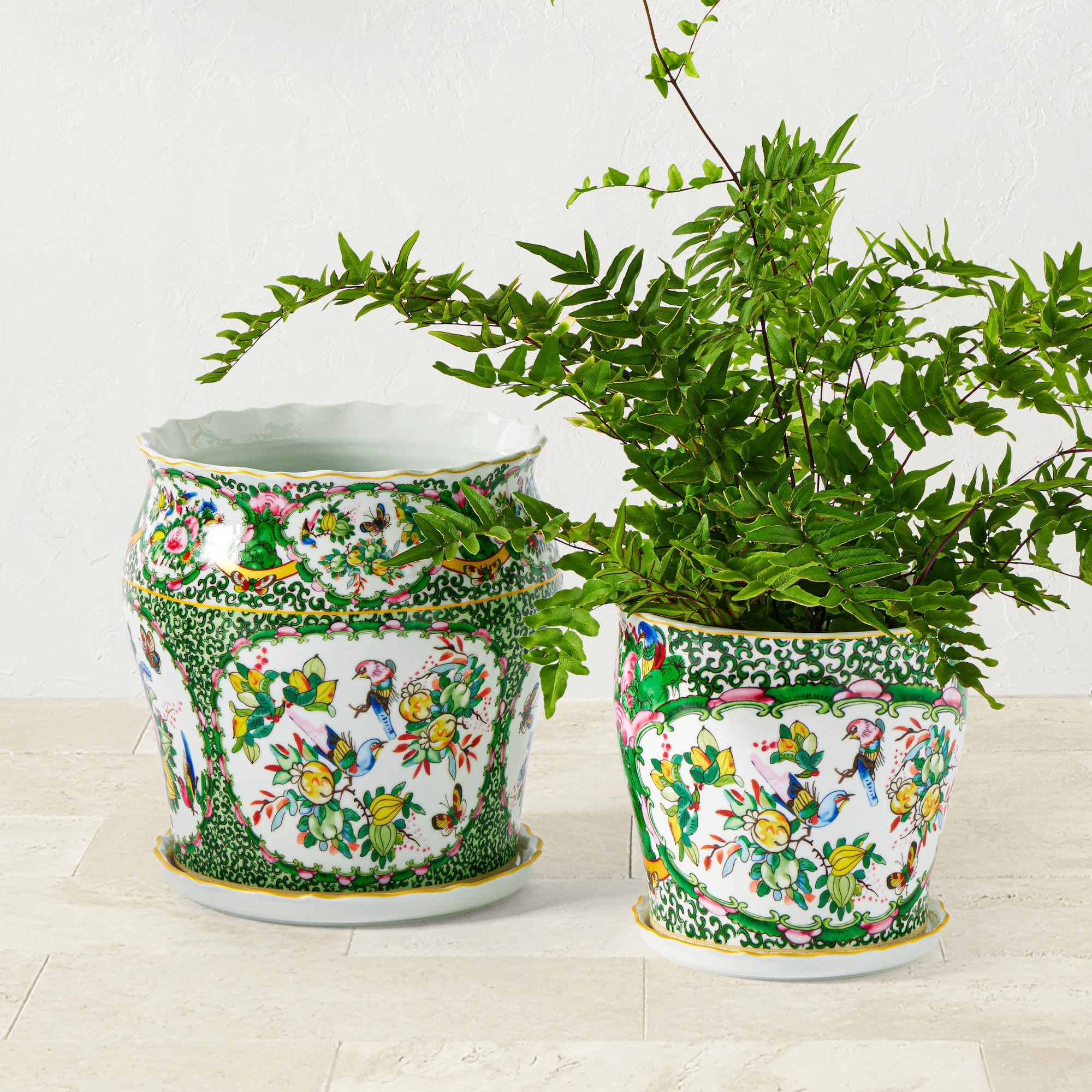 Famille Rose Planter Collection