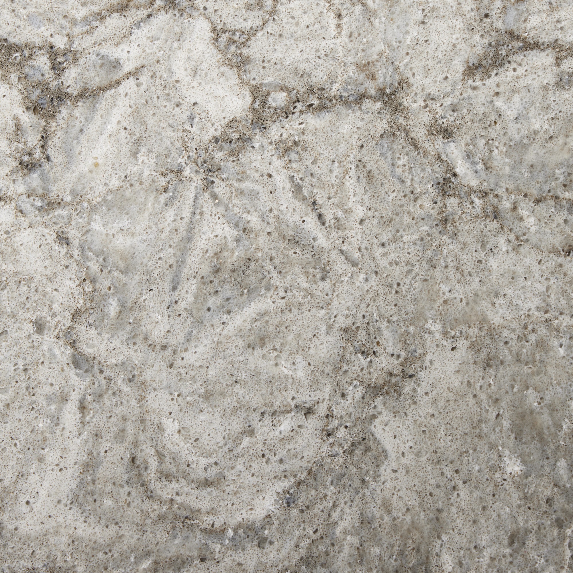 Tulip Collection Swatches - Free Returns Within 30 Days