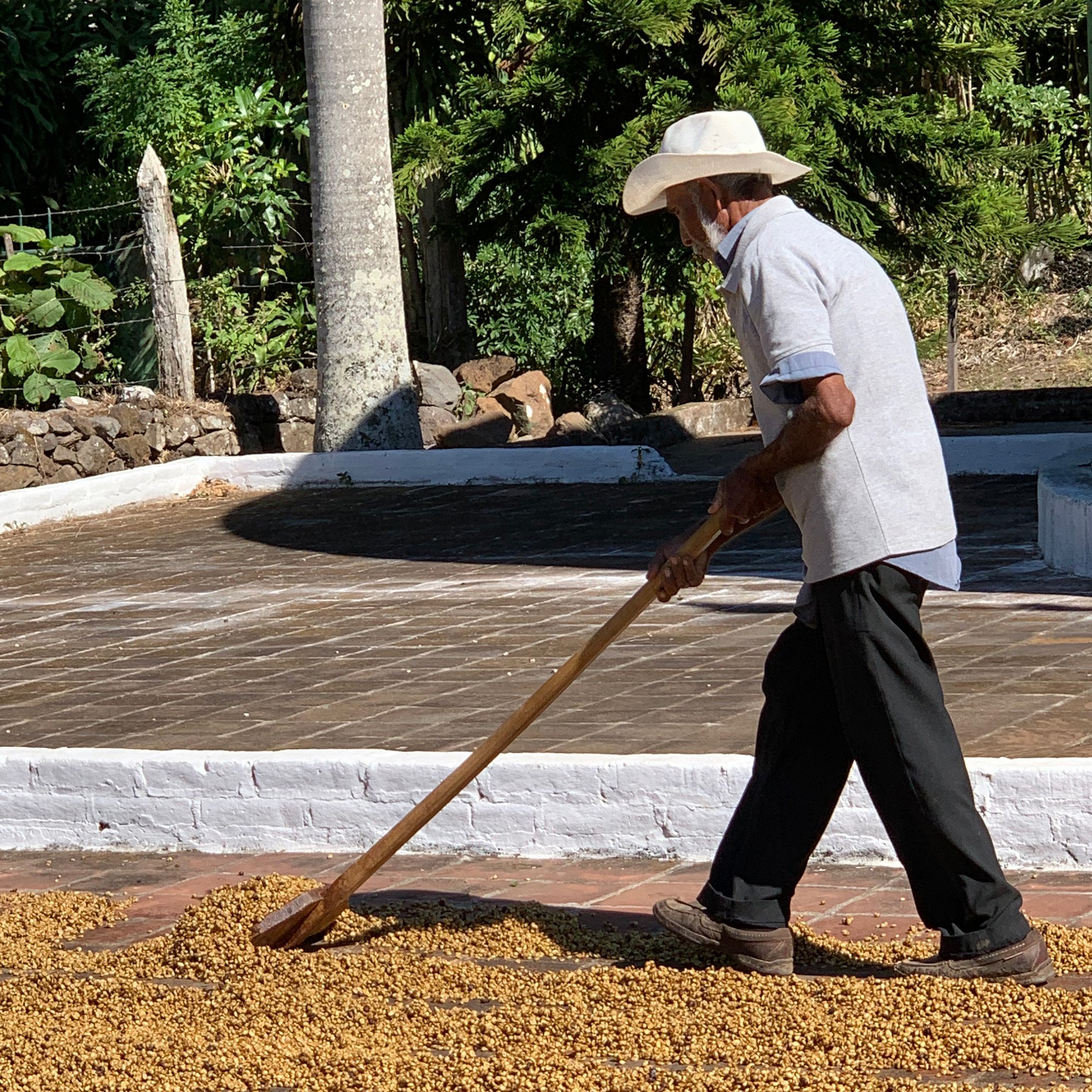 Klatch Coffee Organic Espresso Blend Coffee Beans