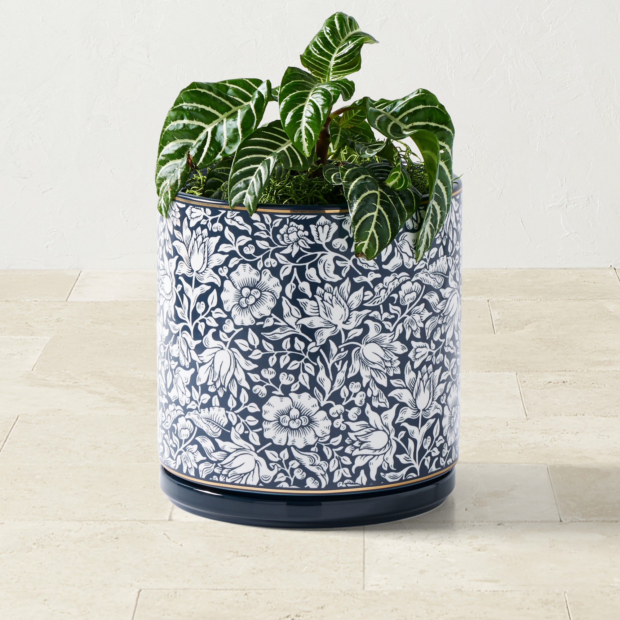 Morris & Co. x Williams Sonoma Ceramic Planter Collection