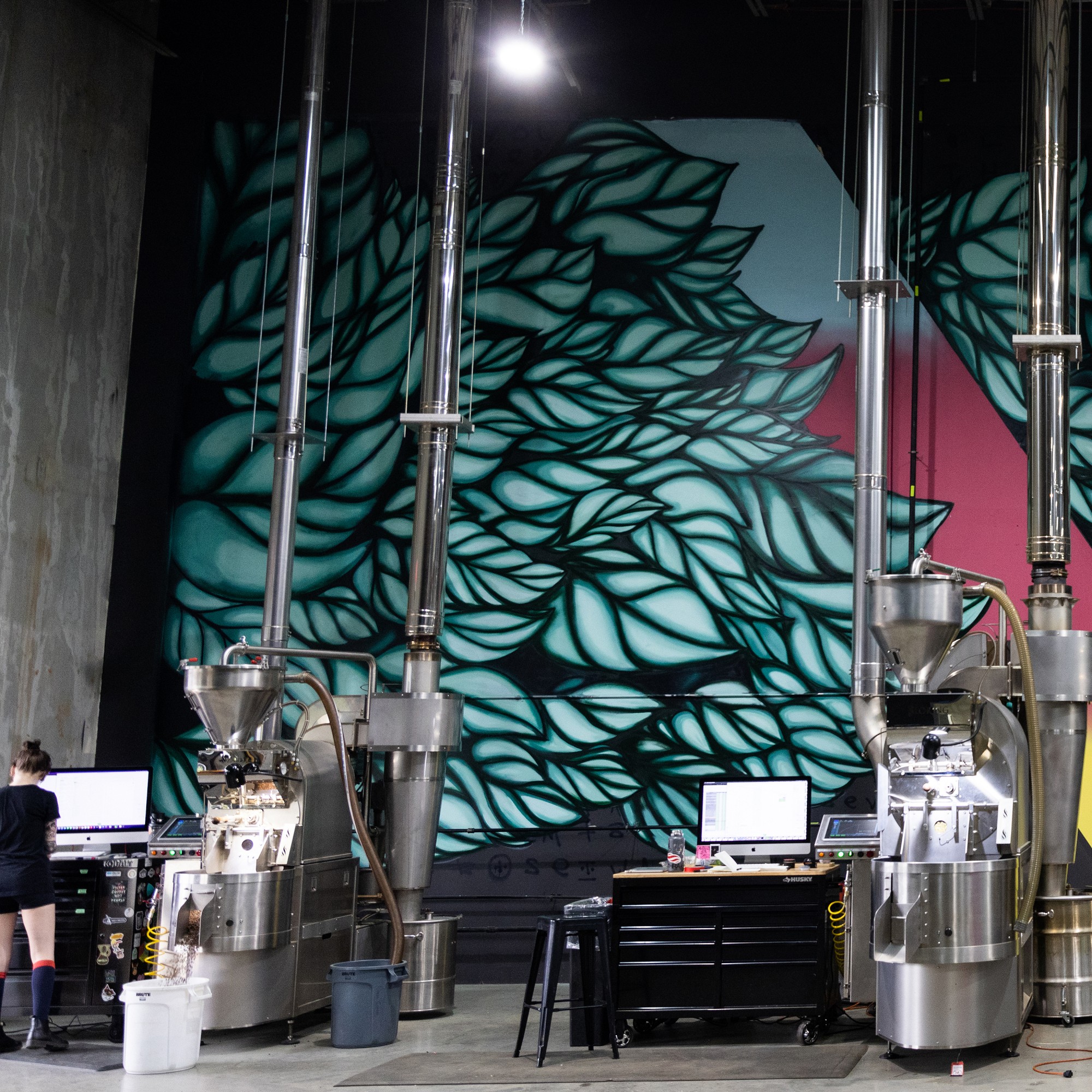 Black & White Coffee Roasters Sugarcane Decaf Blend Coffee Beans