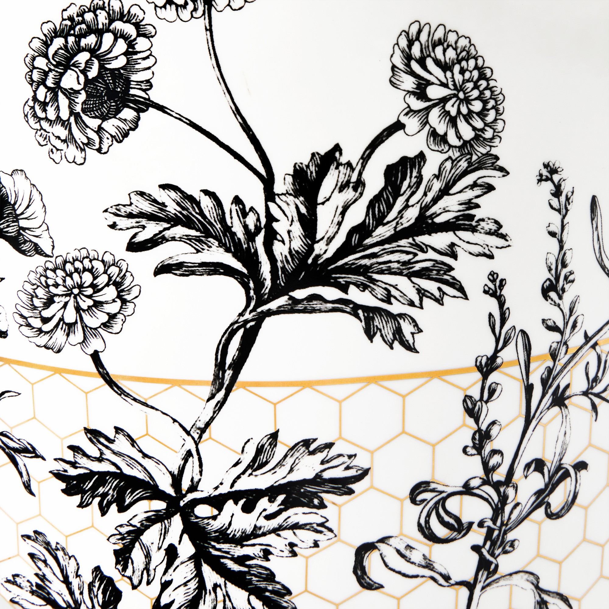 Honeycomb Ceramic Planter Collection