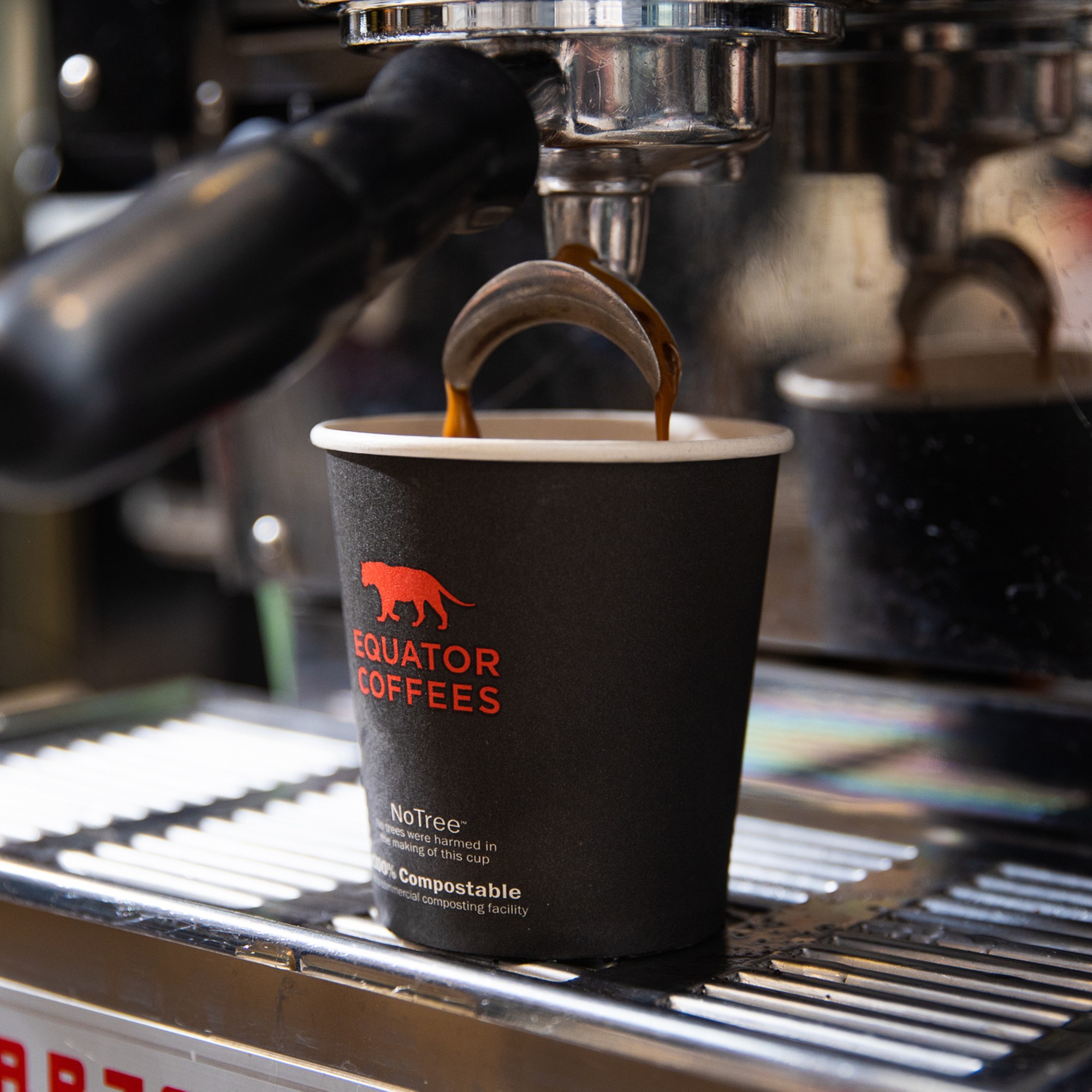 Equator Coffee Jaguar Espresso Blend Coffee Beans