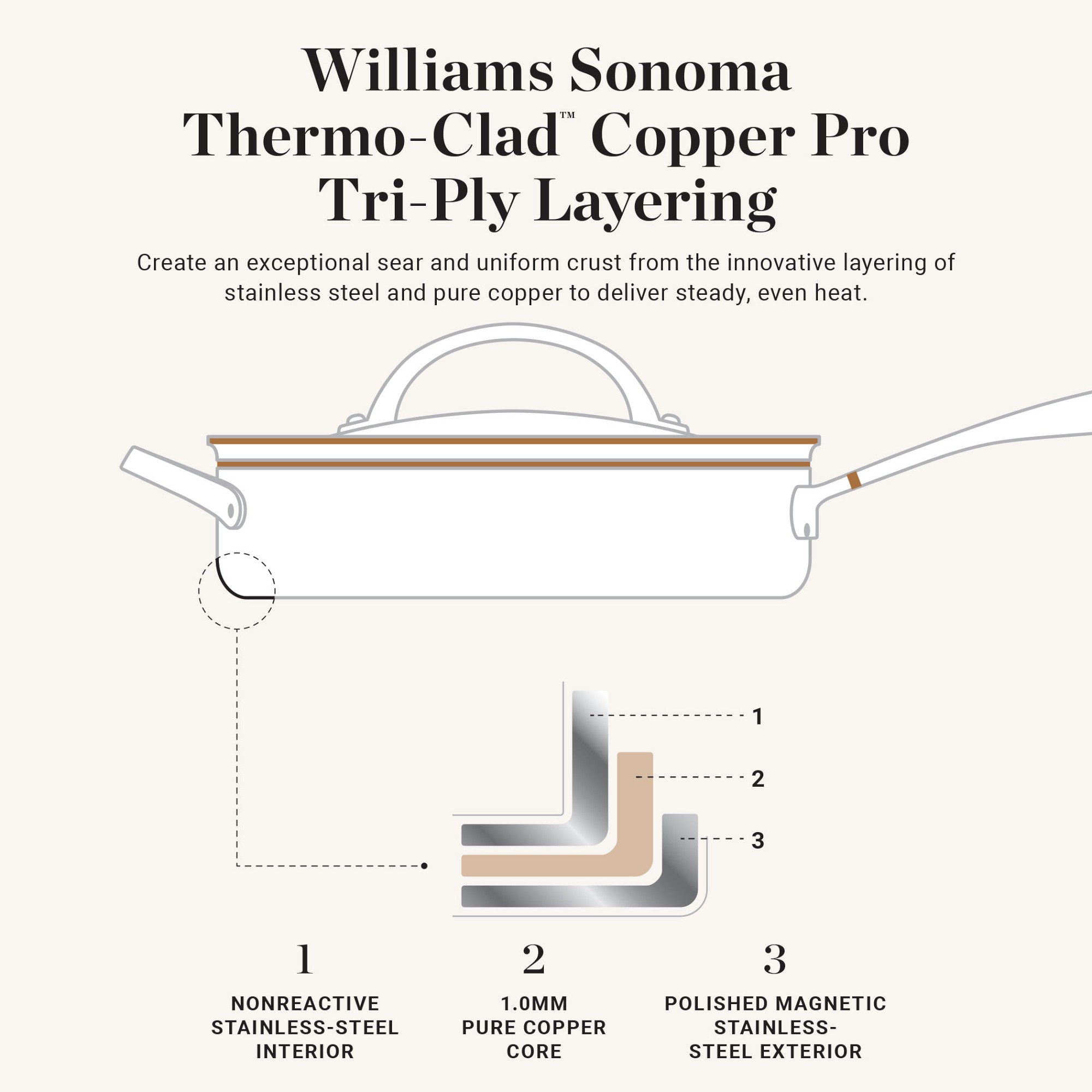 Williams Sonoma Signature Thermo-Clad™ Copper Pro Saucepan