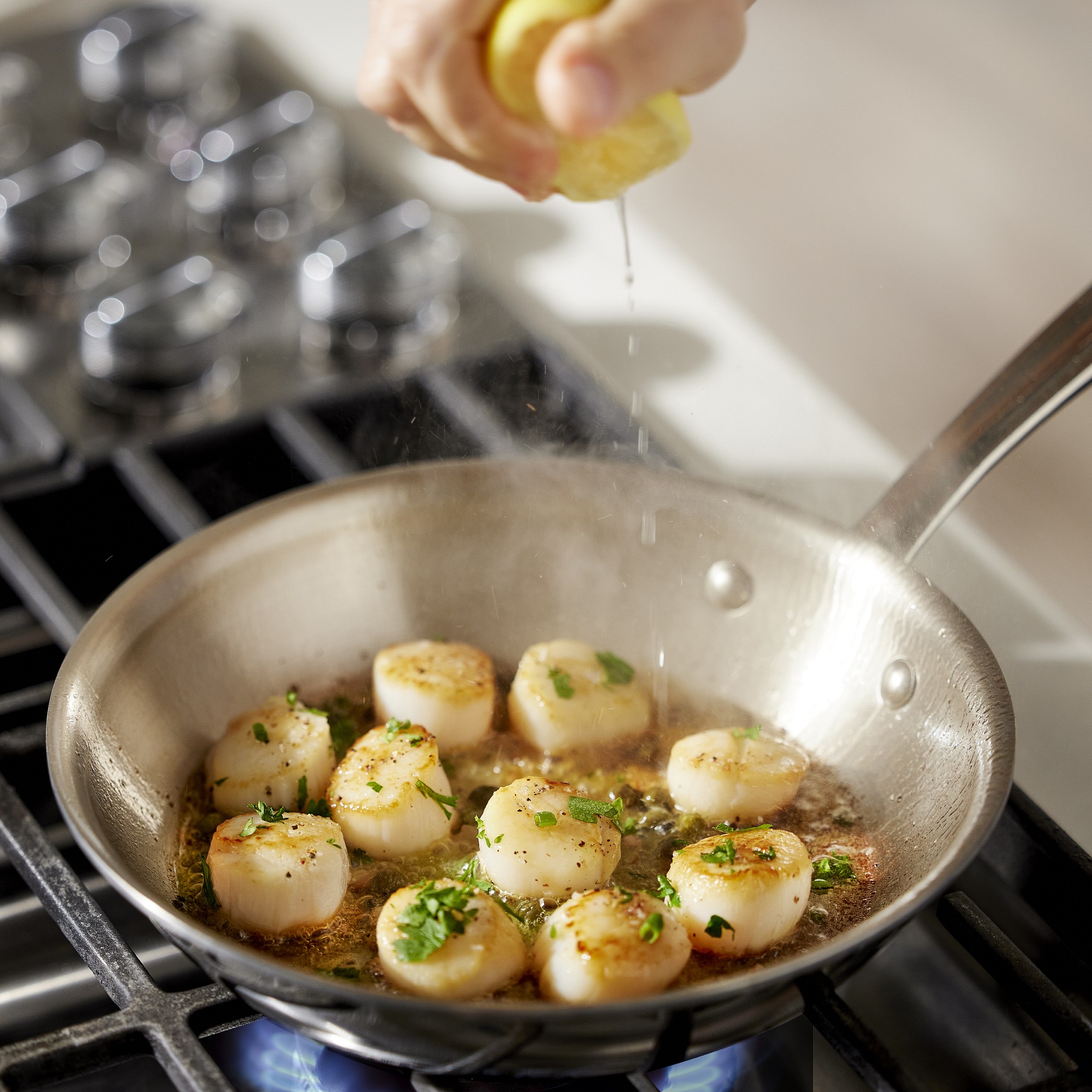 All-Clad G5™ Graphite Core Stainless-Steel Fry Pan