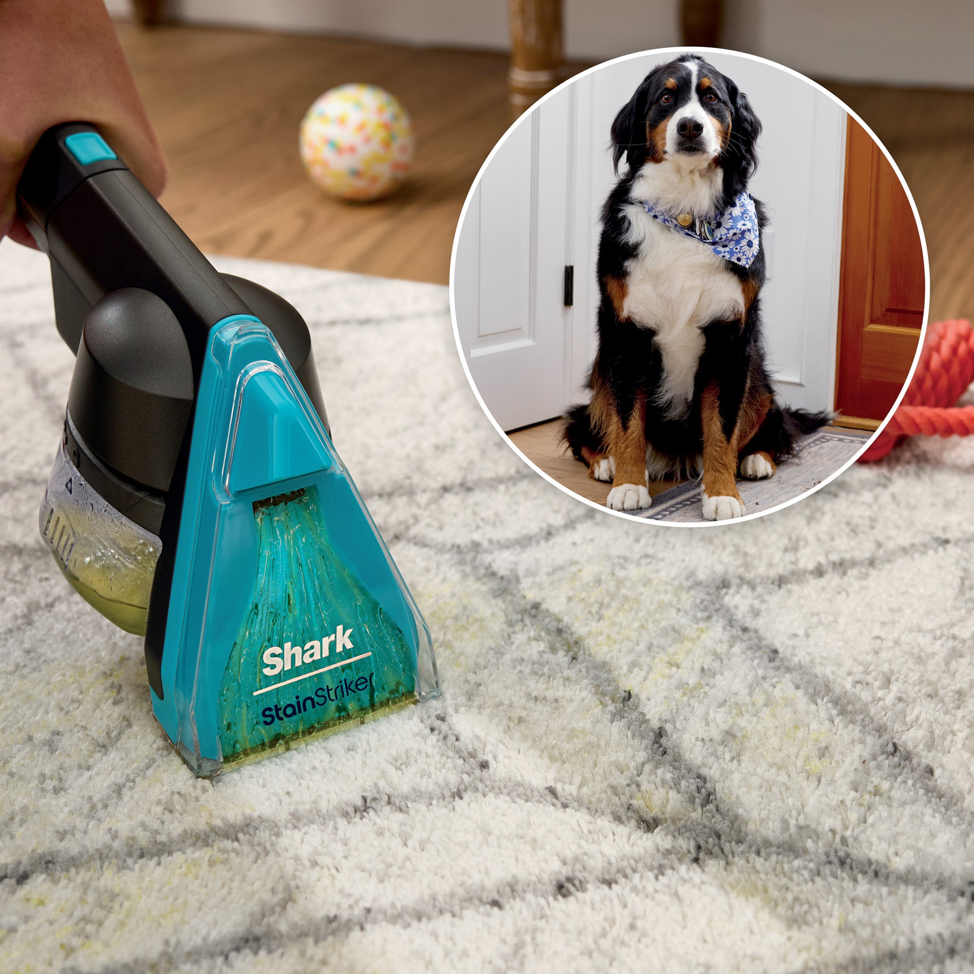 Shark® CarpetXpert™ with Stainstriker™ Upright Deep Carpet Cleaner EX301