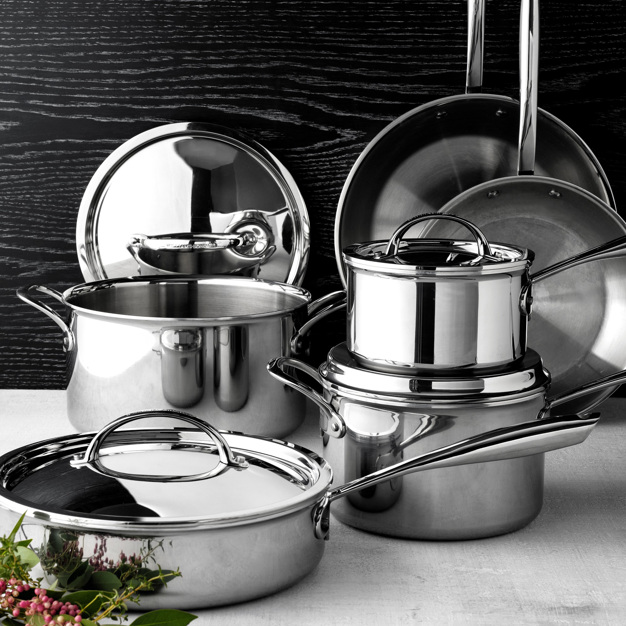 Williams Sonoma Signature Thermo-Clad™ Stainless-Steel 10-Piece Cookware Set