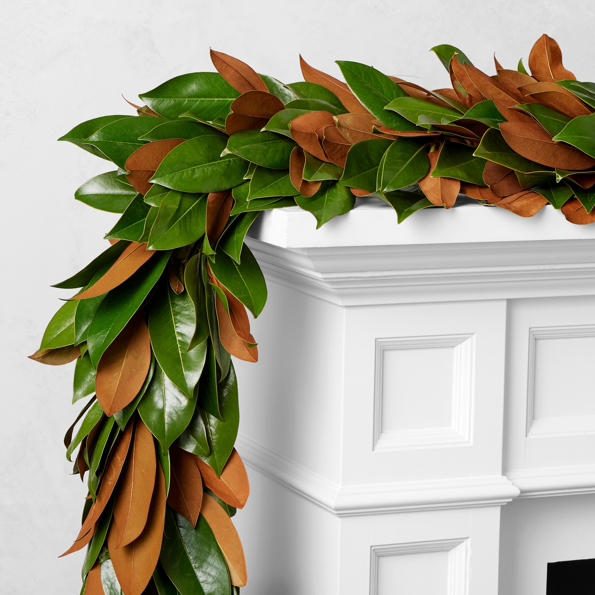 Magnolia Live Wreath & Garland