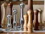 Williams Sonoma Traditional Olivewood Salt & Pepper Mills