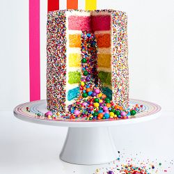 Flour Shop x Williams Sonoma Rainbow Explosion Cake Kit