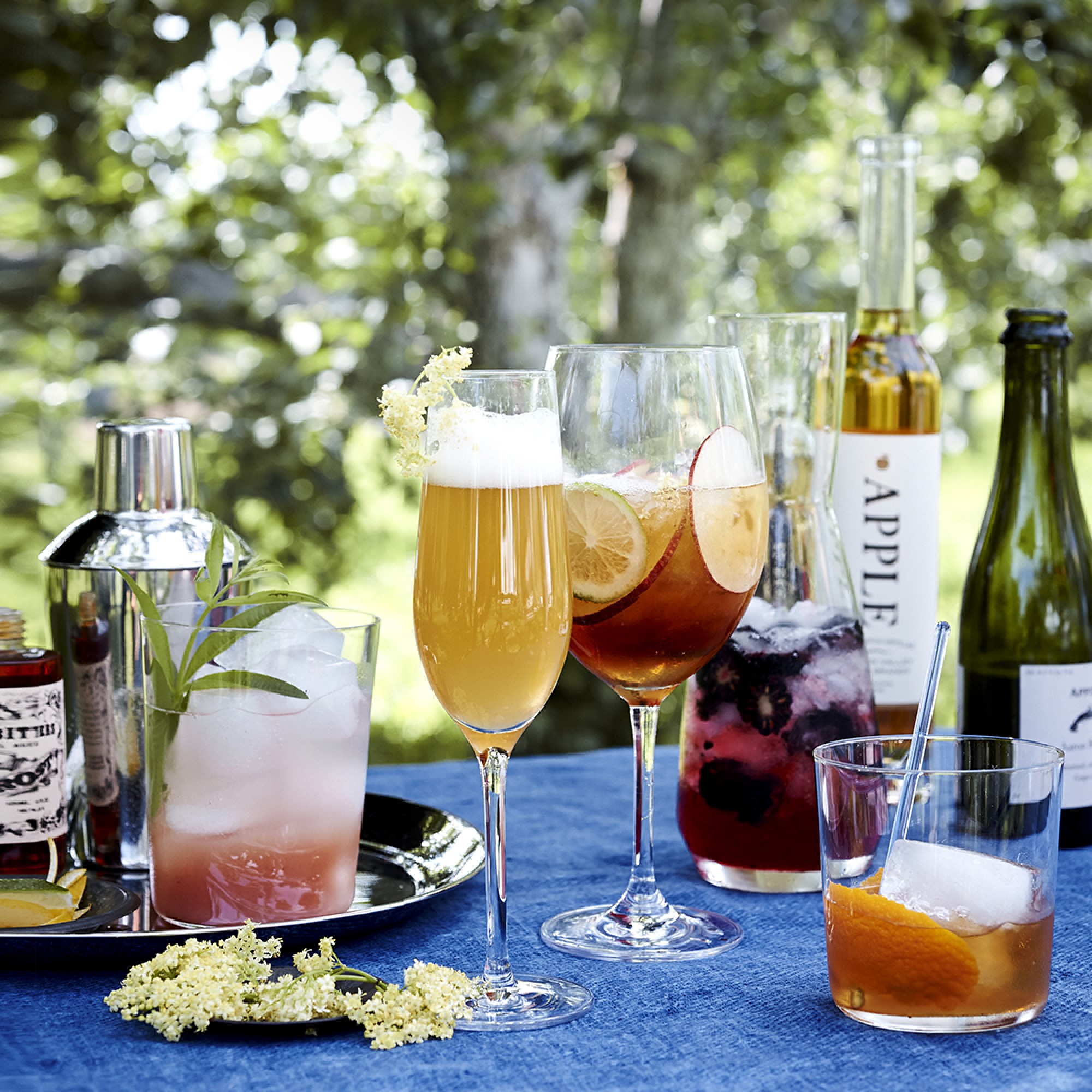 Open Kitchen by Williams Sonoma Champagne Flutes