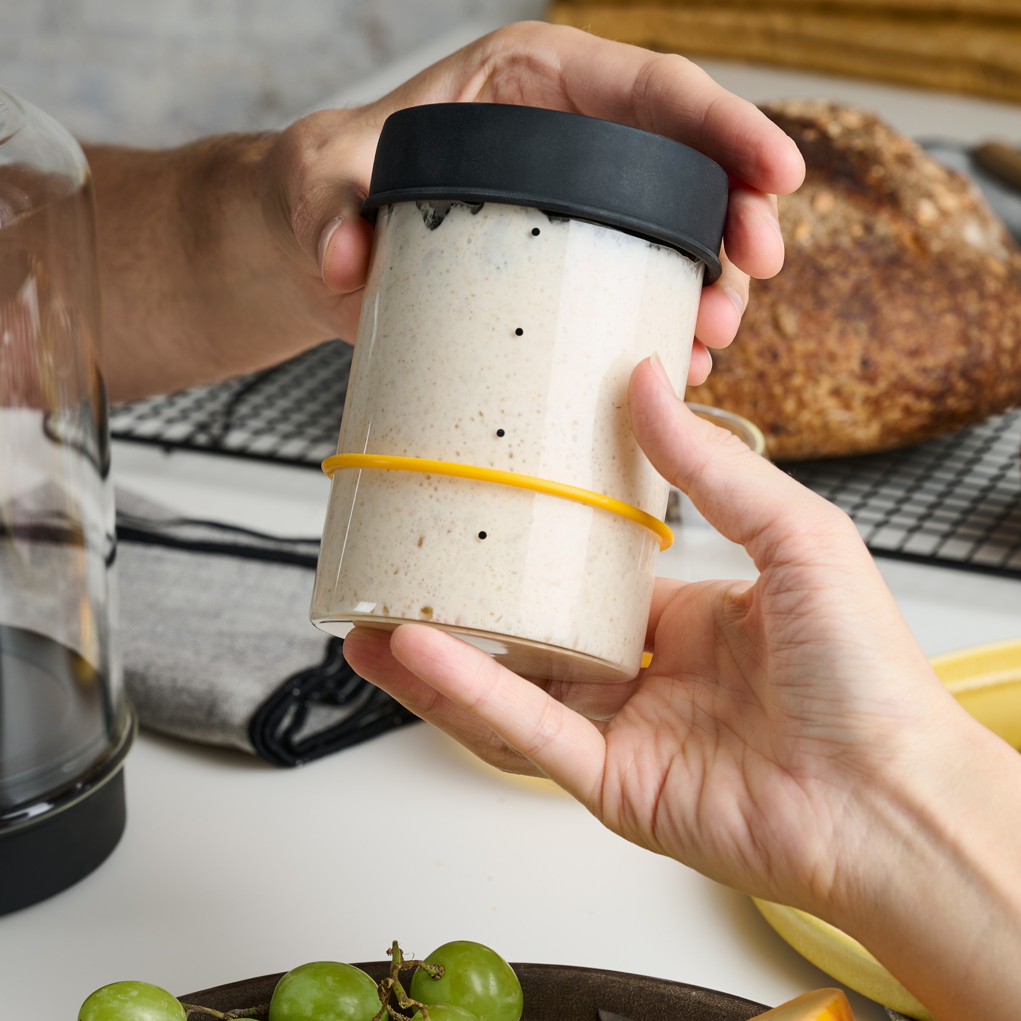 Goldie by Sourhouse™ with Pint & Quart Starter Jars