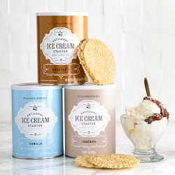 Williams Sonoma Ice Cream Starter, Horchata